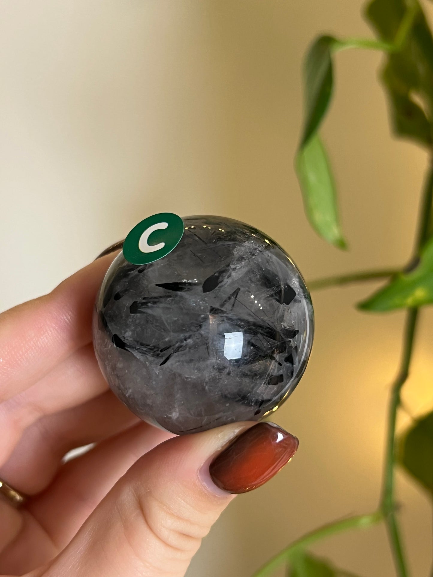 Black Tourmaline in Quartz Sphere - C