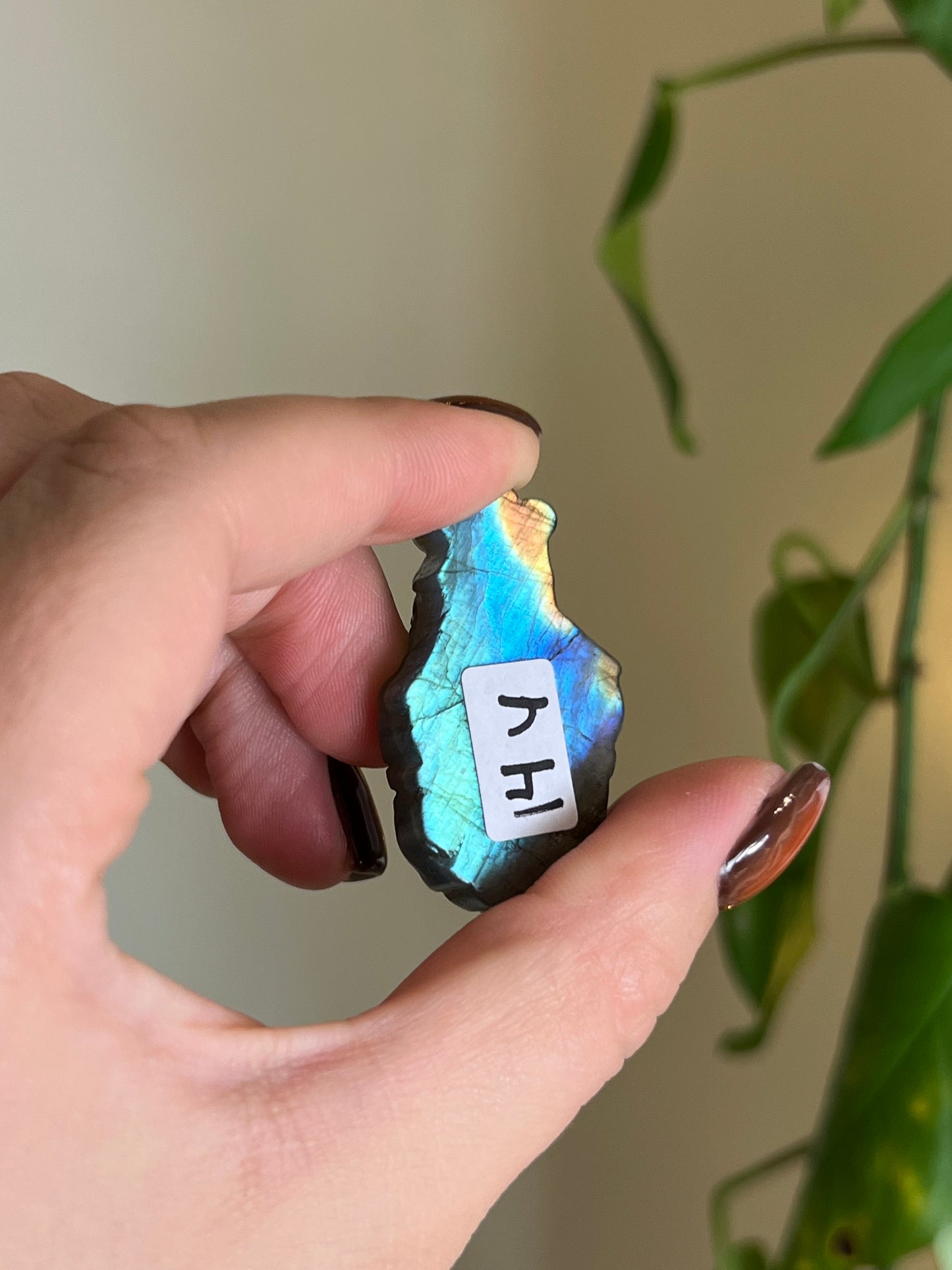 Flashy Labradorite Koi Fish