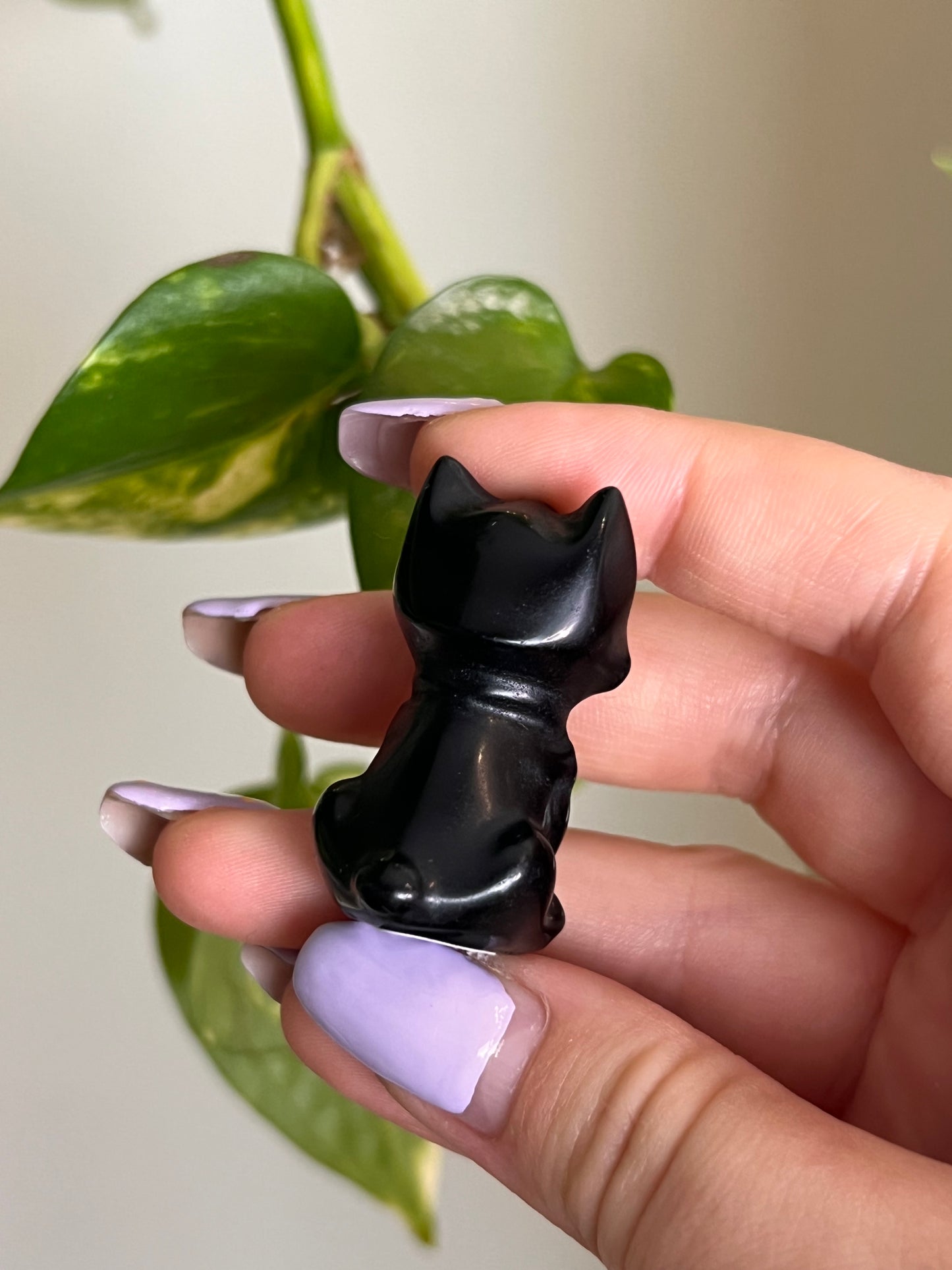 Black Obsidian Cub