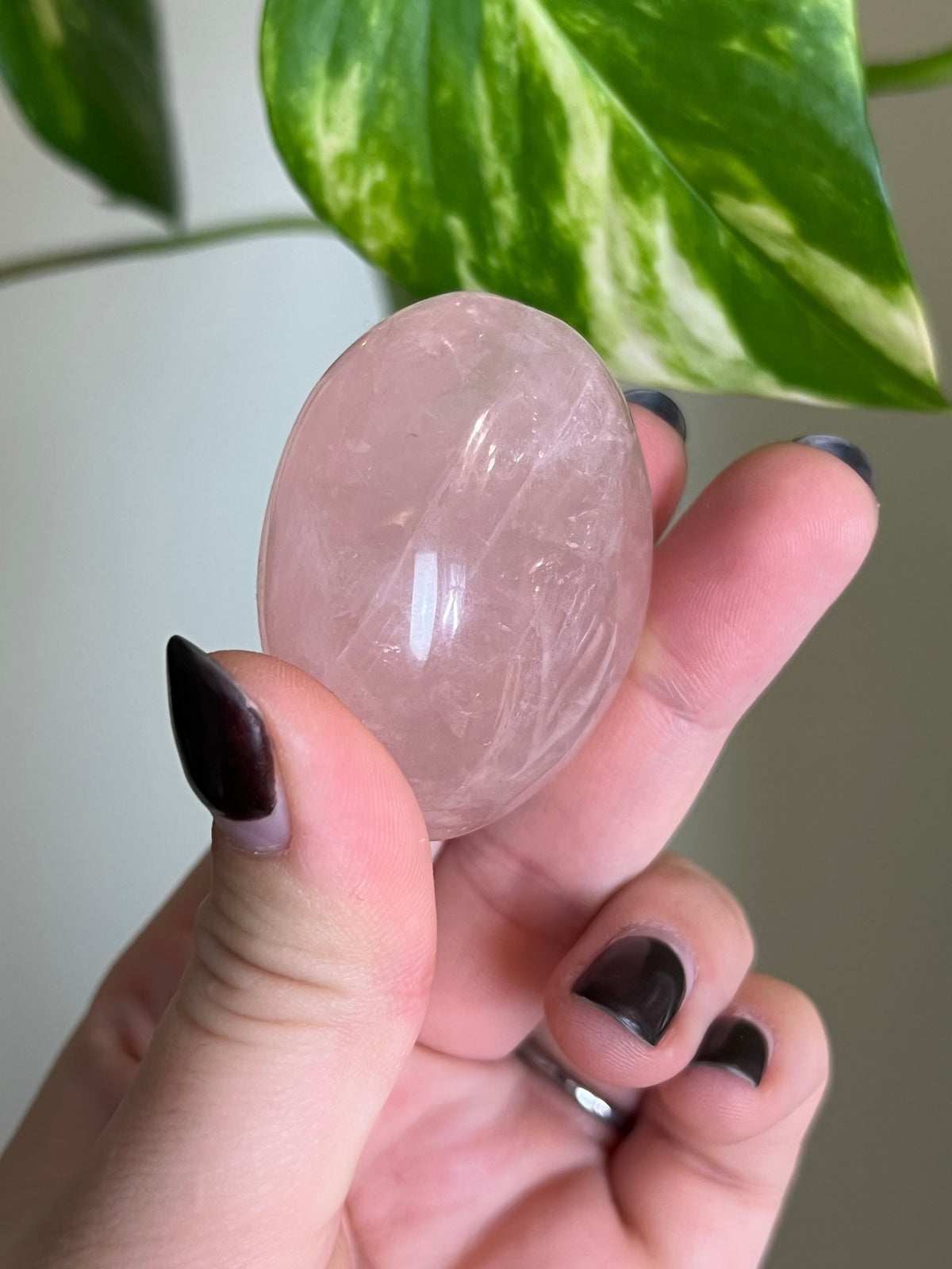 Rose Quartz Palm Stone - 3