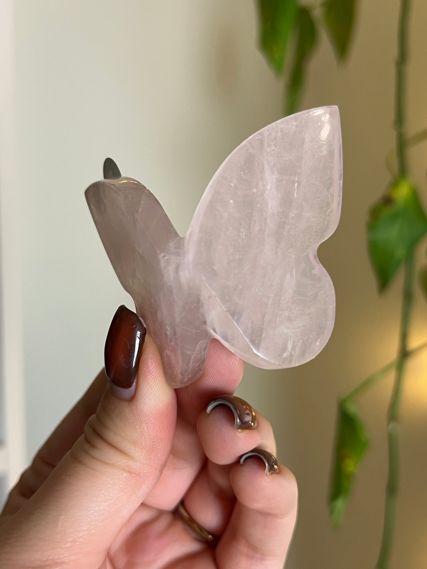 Rose Quartz 3D Butterfly - F