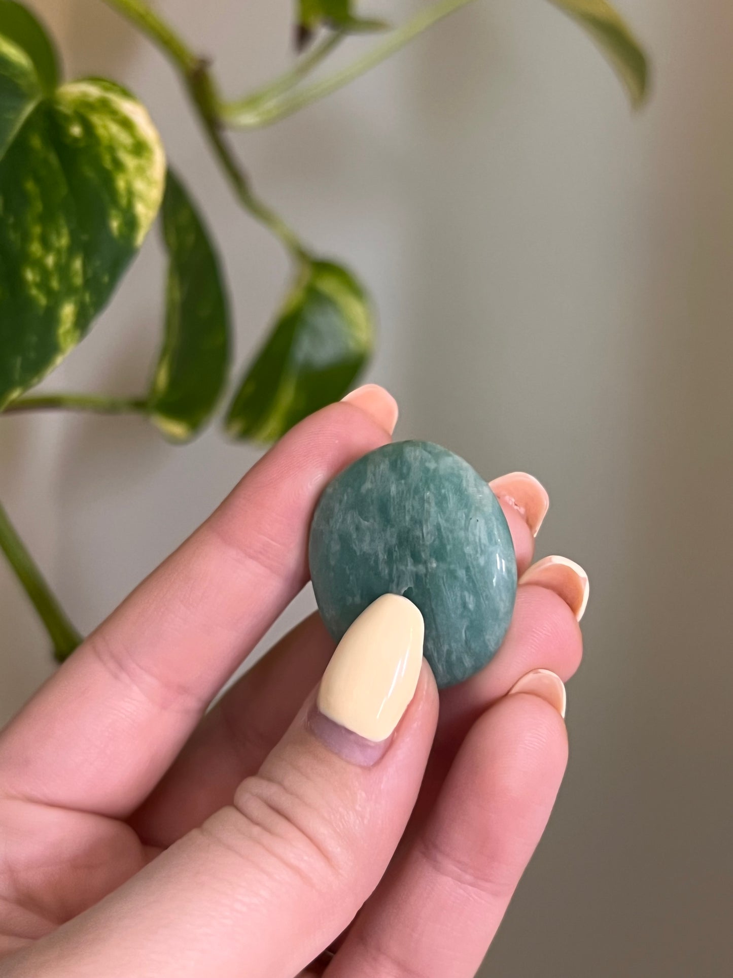 Flashy Amazonite Button