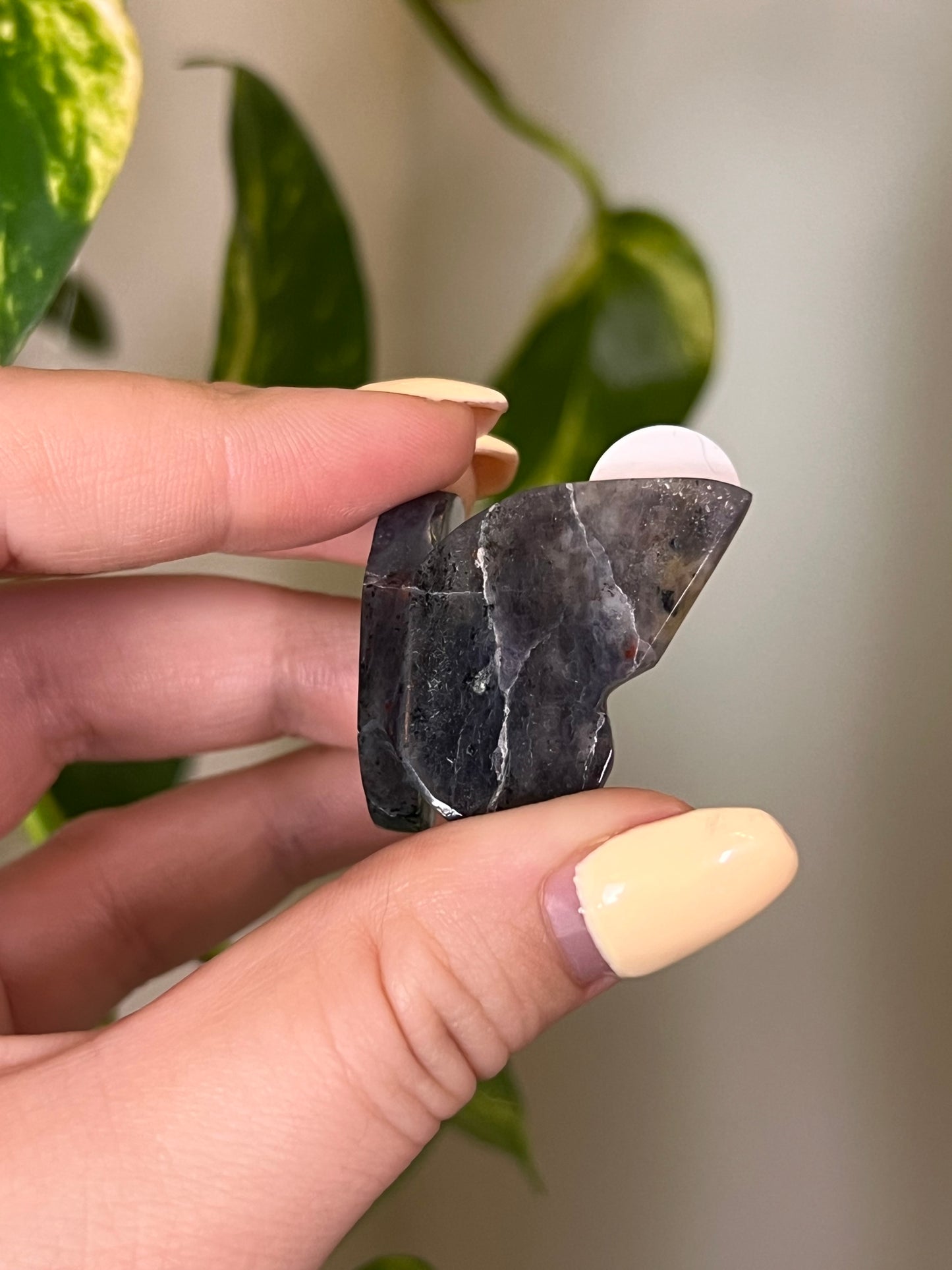 Iolite Small 3D Butterfly - O