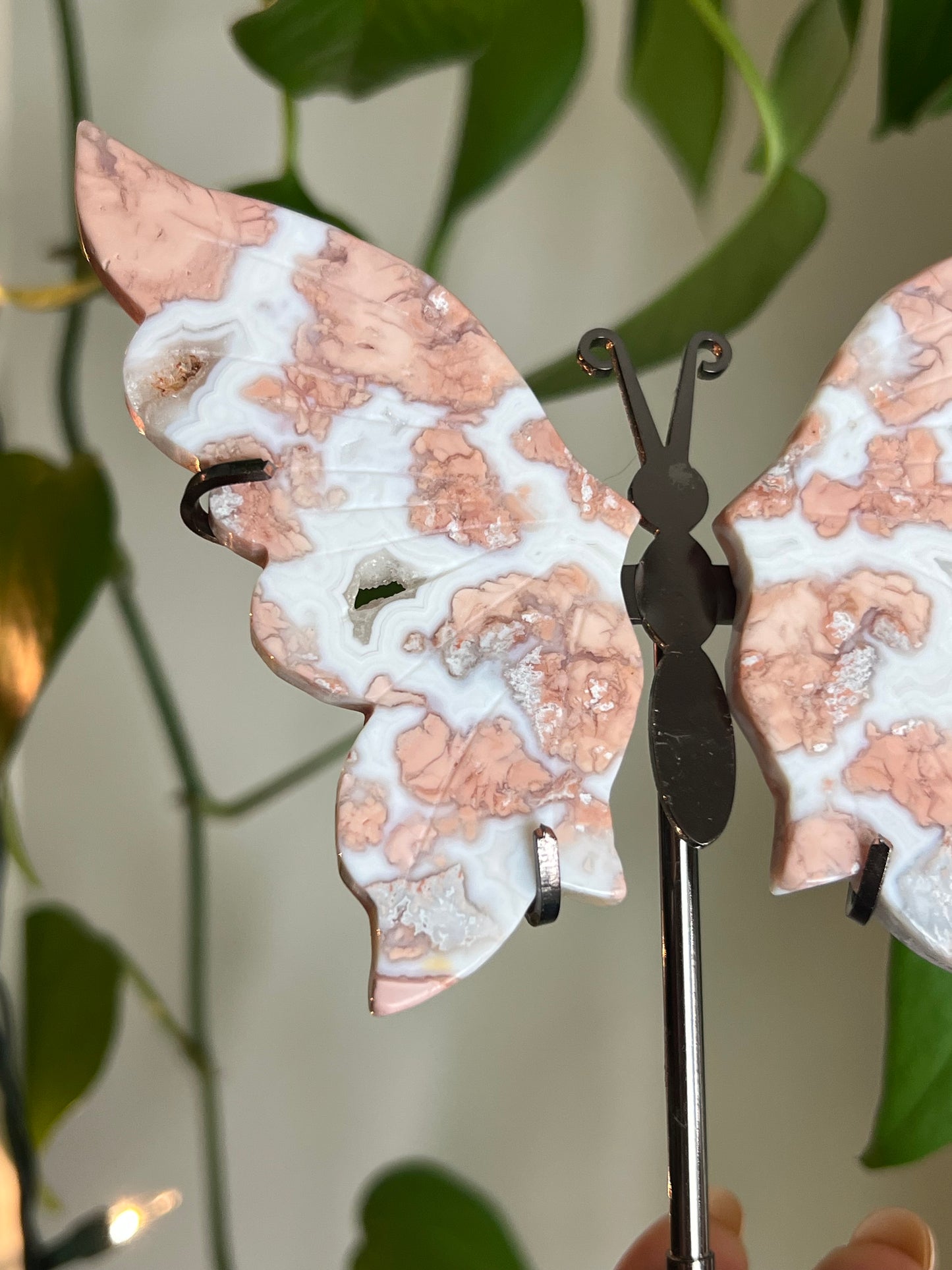 Cotton Candy Agate Butterfly Stand - S