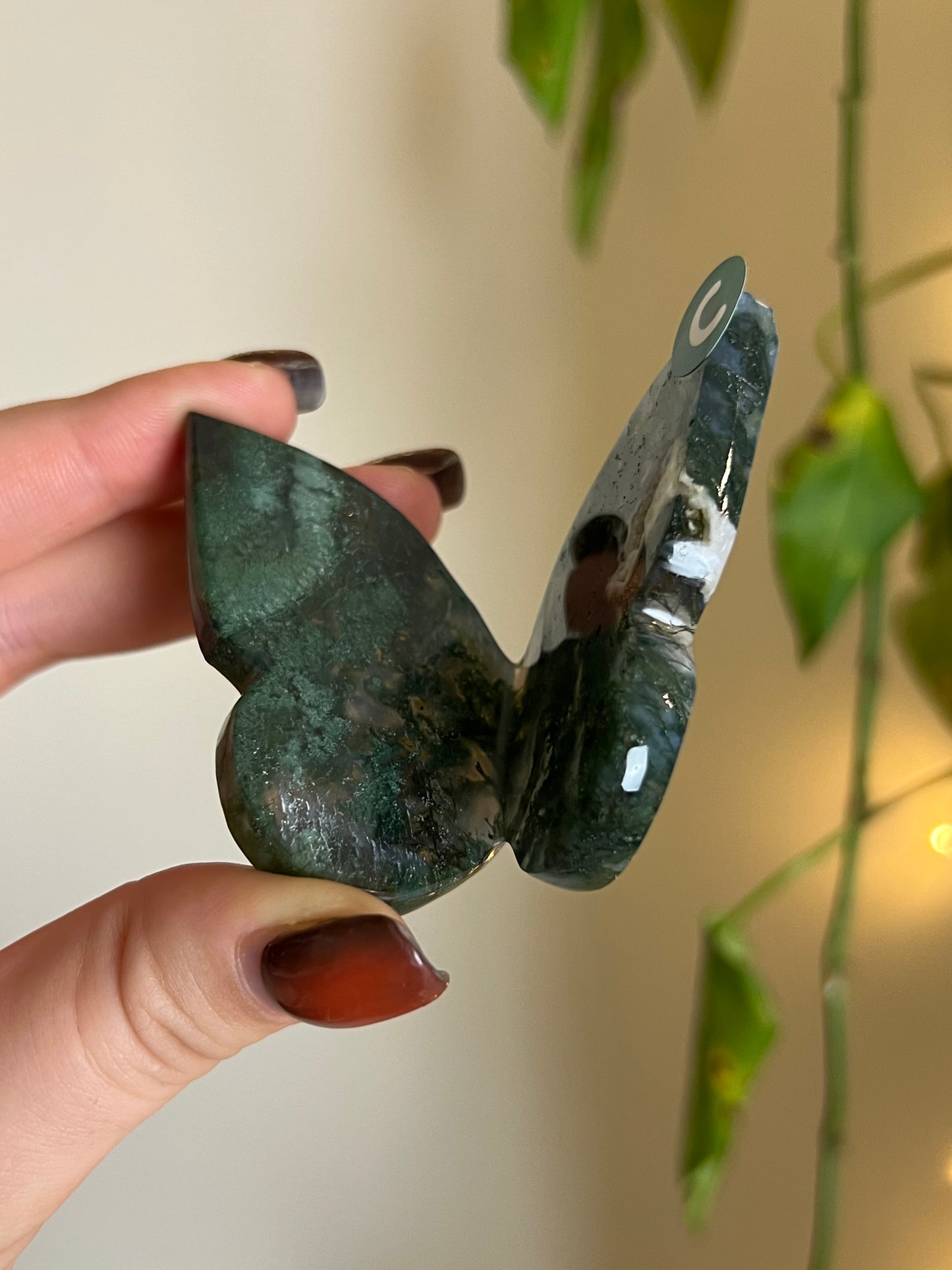 Moss Agate 3D Butterfly - C