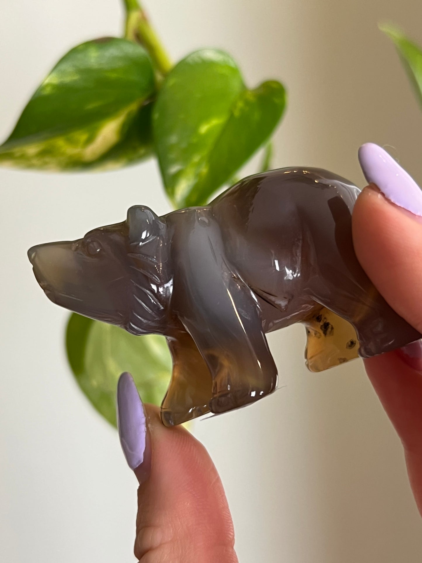 Druzy Agate Bear - A