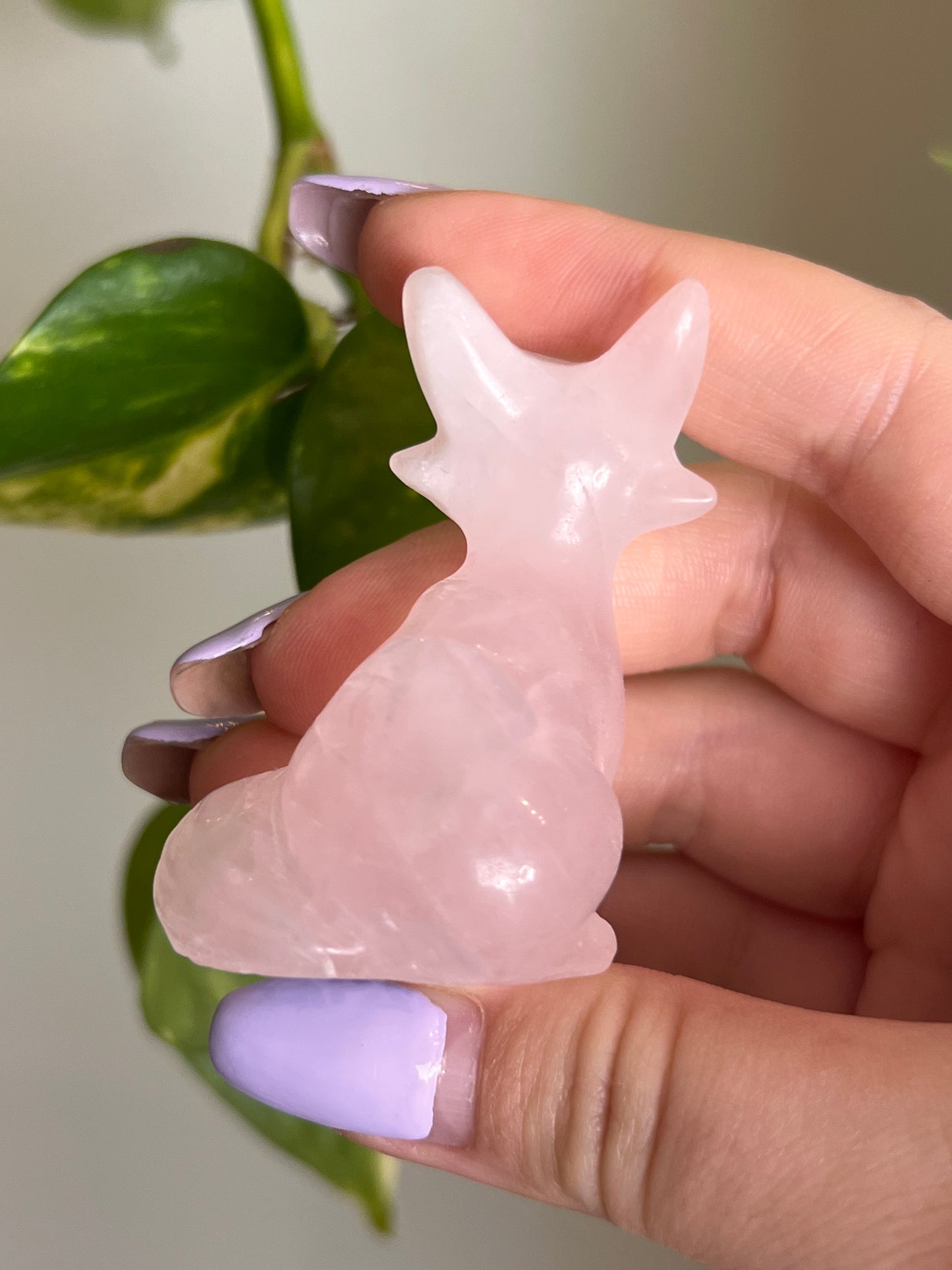 Rose Quartz Fox