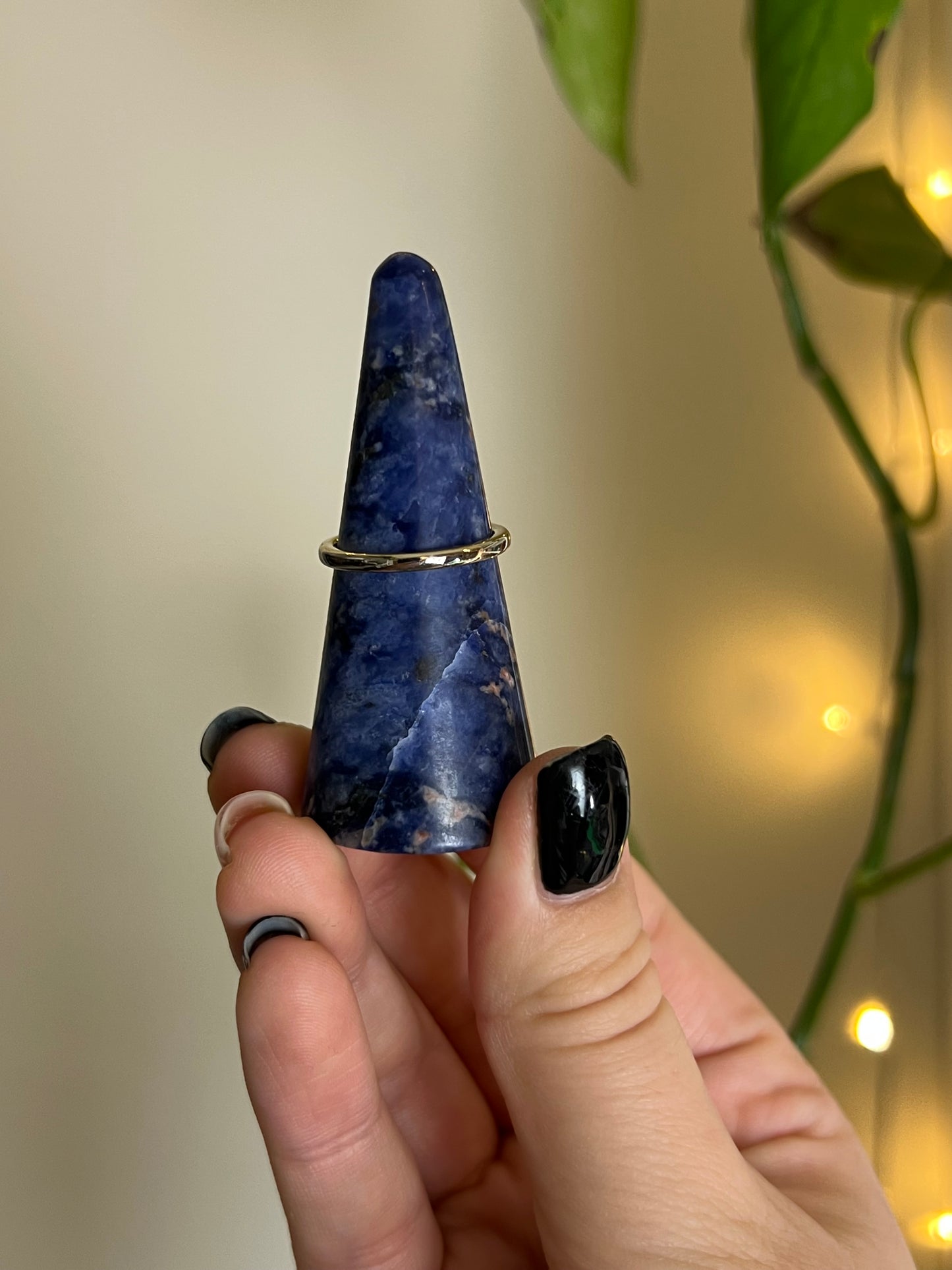 Sodalite Ring Holder