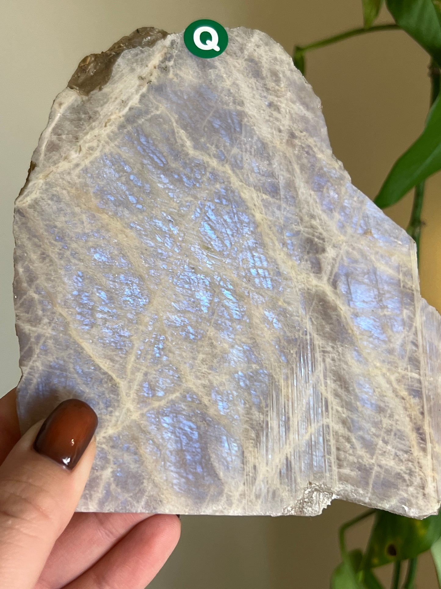 Flashy Moonstone Slab - Q