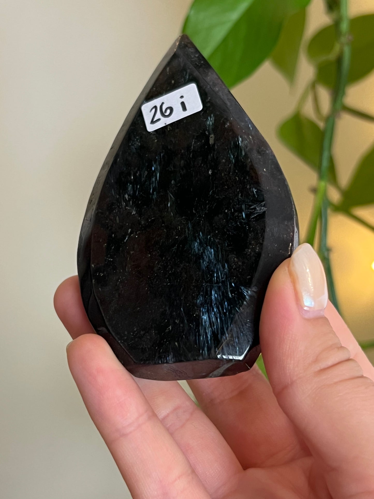 Astrophyllite on Matrix Freeform - i