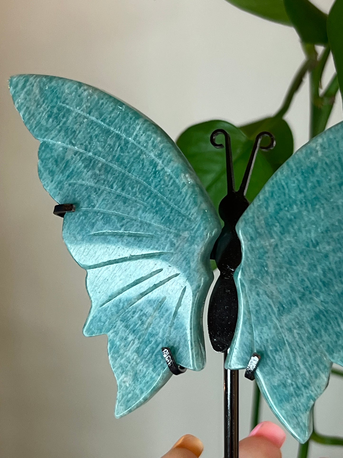 Amazonite Butterfly Stand - W