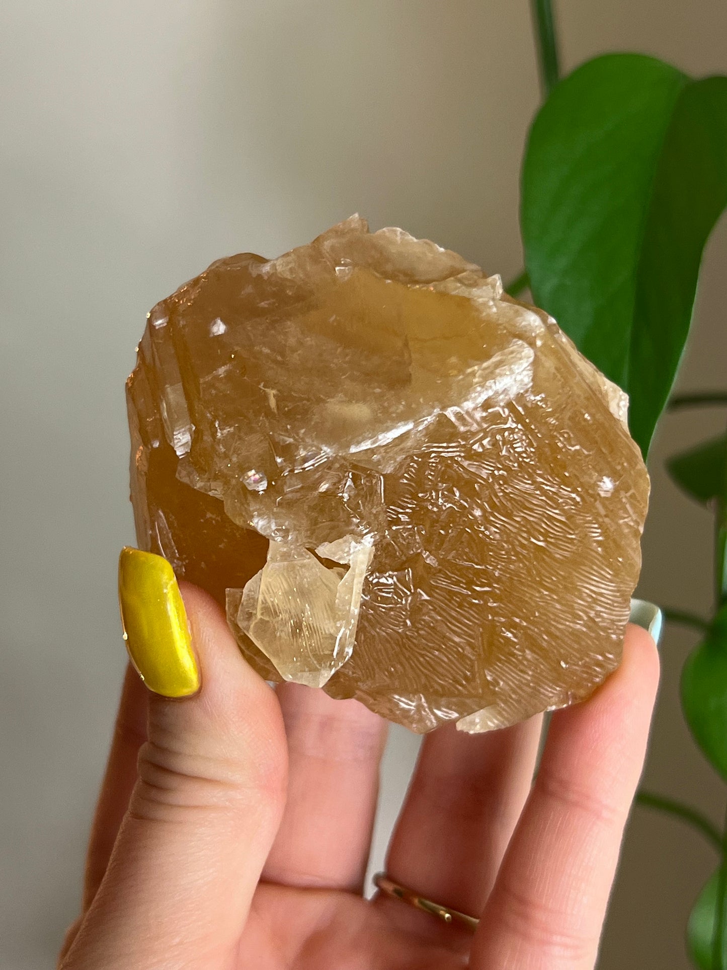 Honey Calcite Raw - Intuitively Chosen