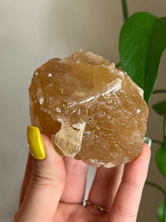 Honey Calcite Raw - Intuitively Chosen