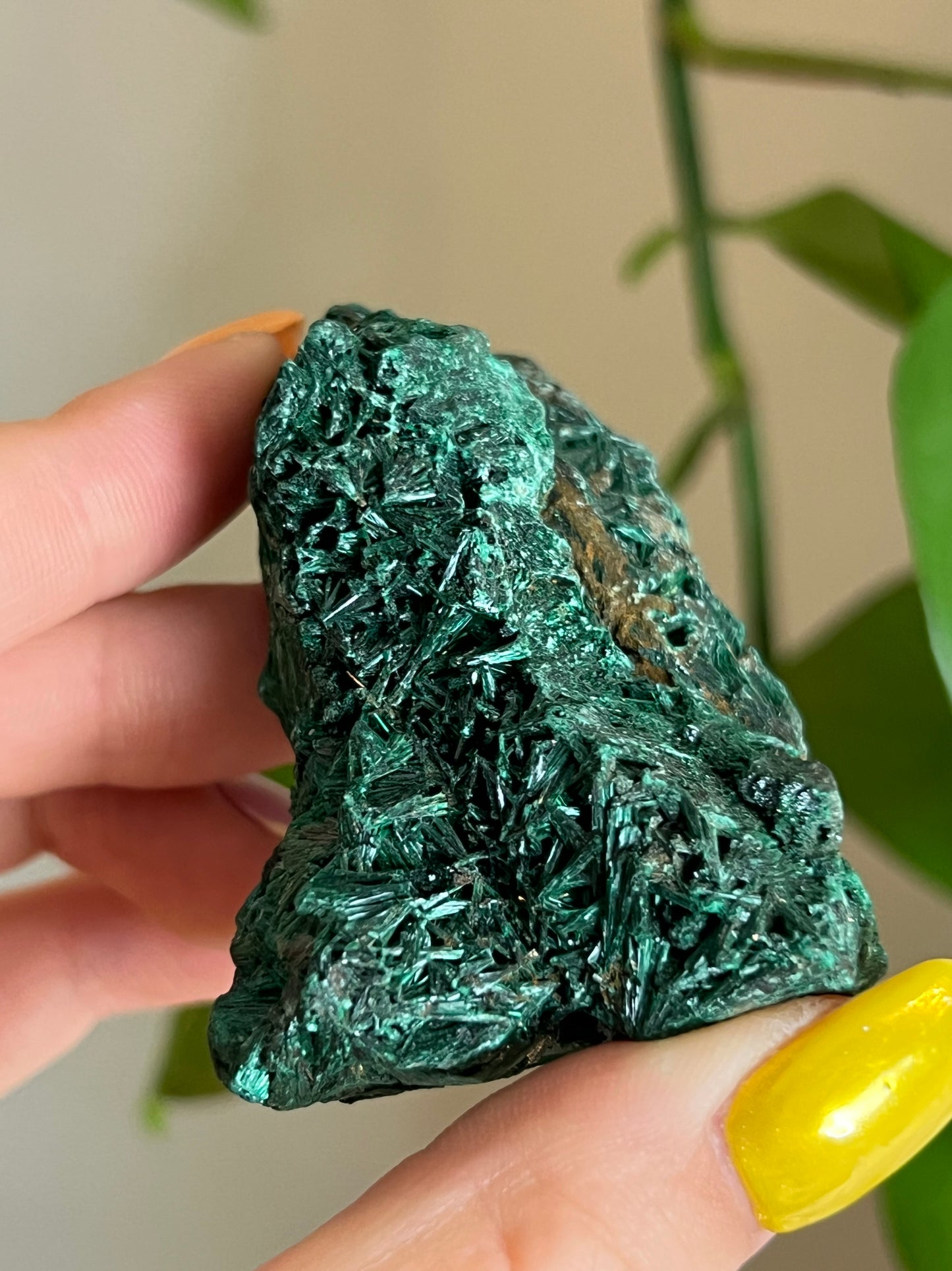 Velvet Malachite Raw L