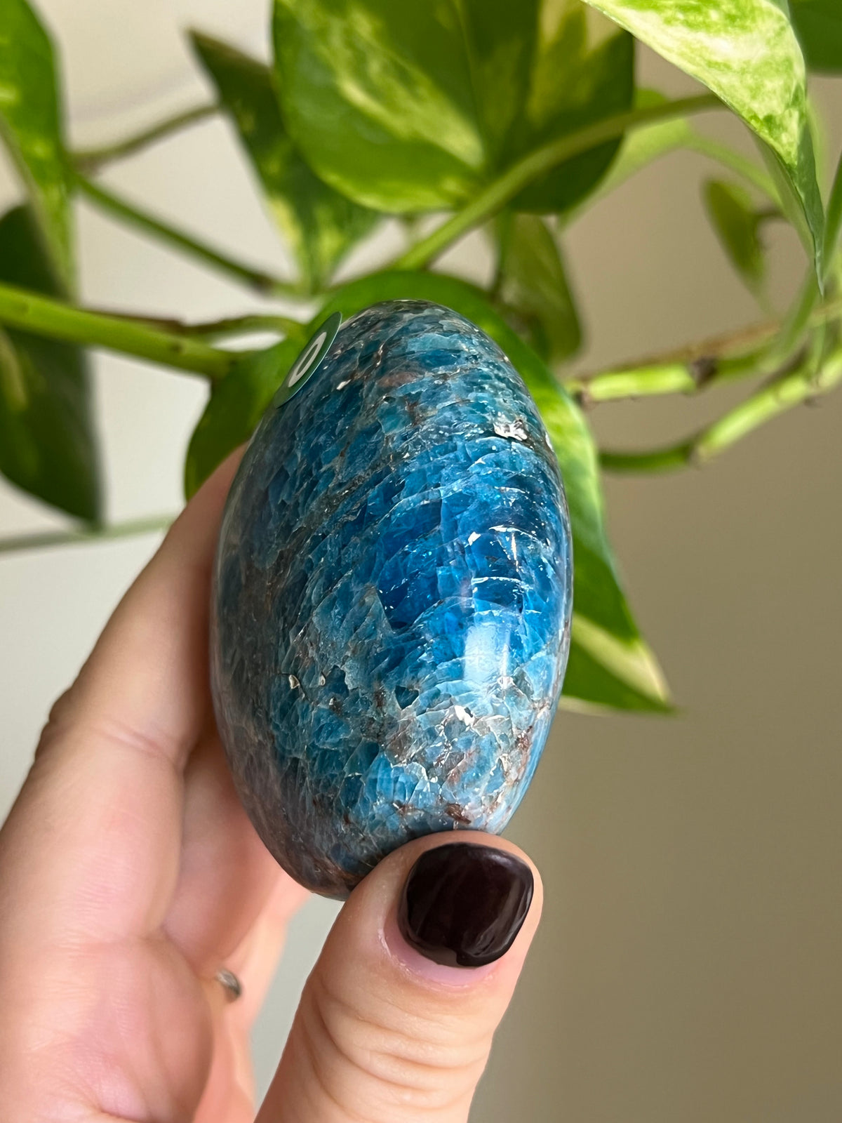 Blue Apatite Large Palm Stone - 0