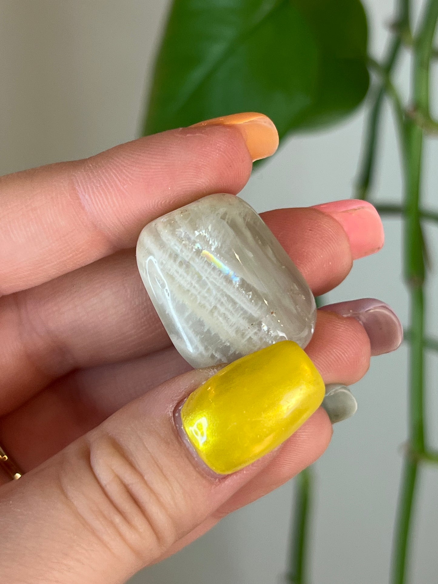 Green Moonstone Tumbled
