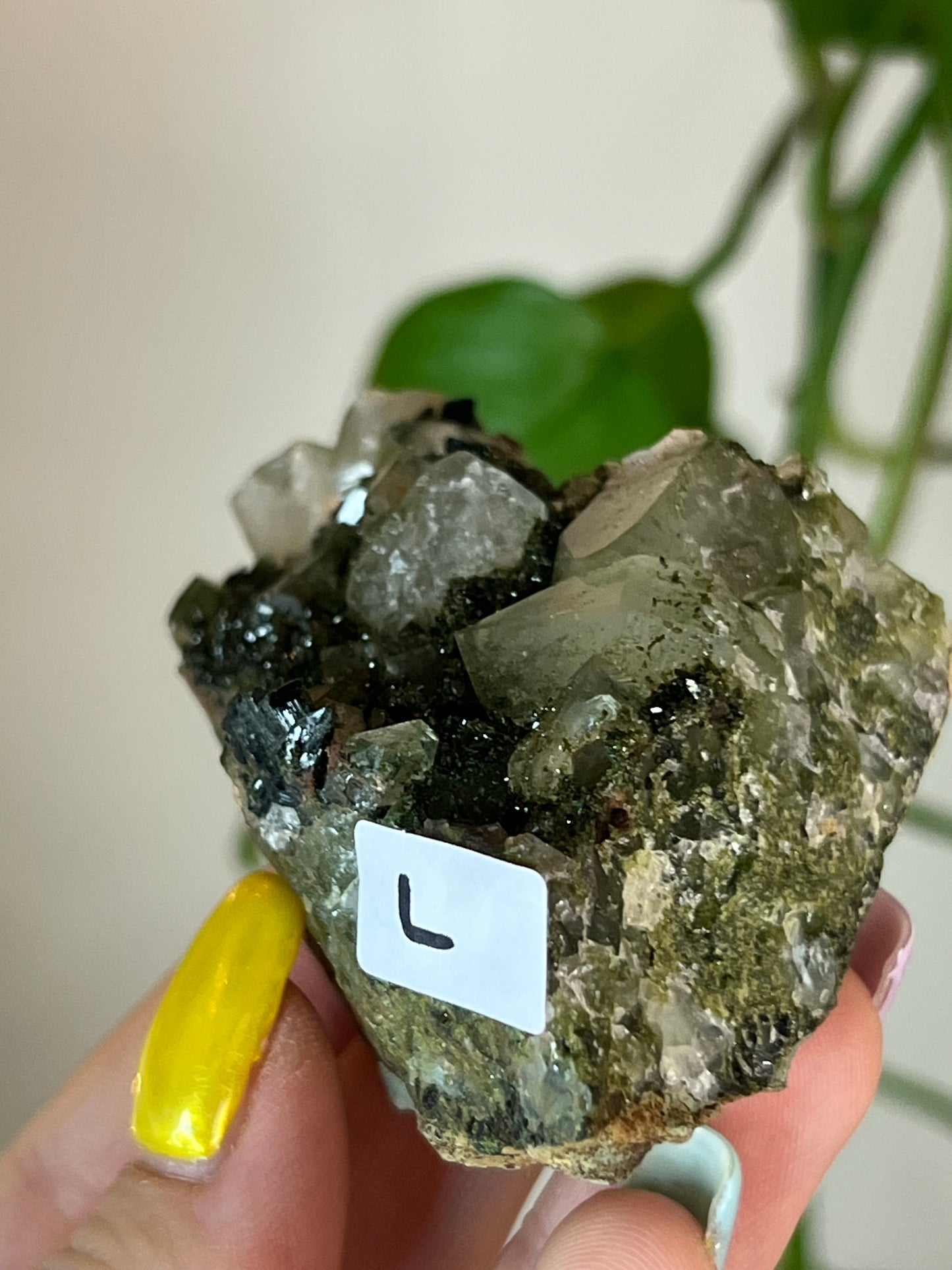 Forest Epidote Quartz Cluster - L