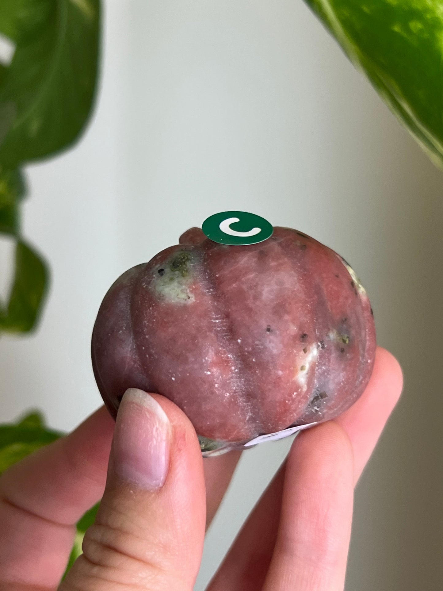 Plum Blossom Tourmaline x Serpentine Pumpkin - C