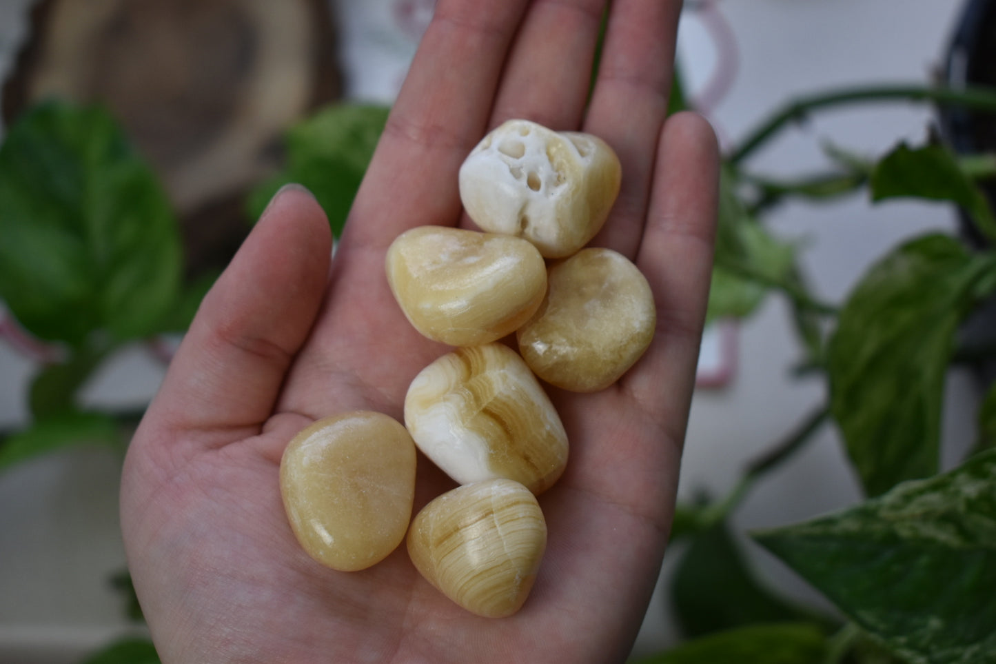 Amber Aragonite (Medium/Large Sized)