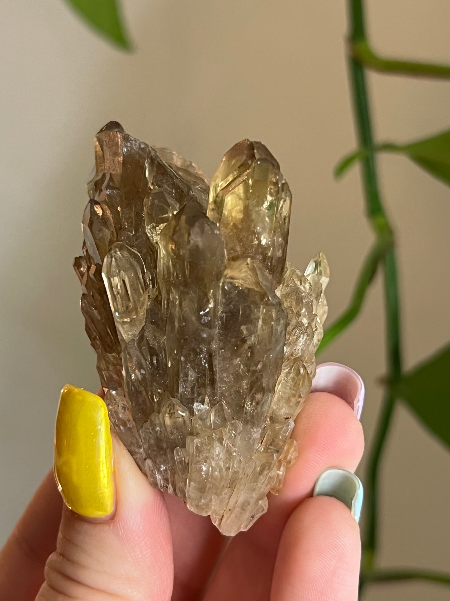 Natural Citrine Cluster