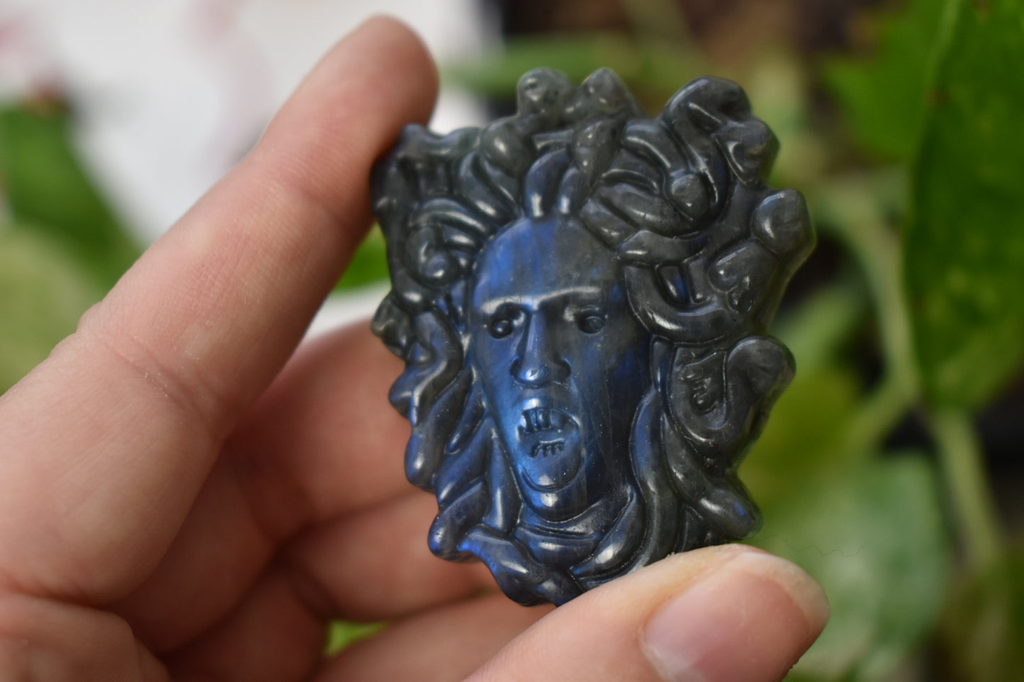 Labradorite Medusa