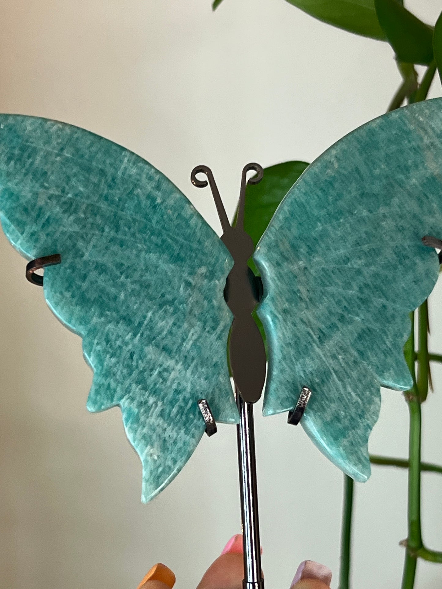 Amazonite Butterfly Stand - W
