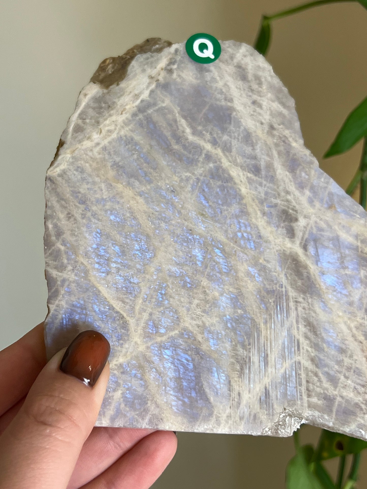 Flashy Moonstone Slab - Q