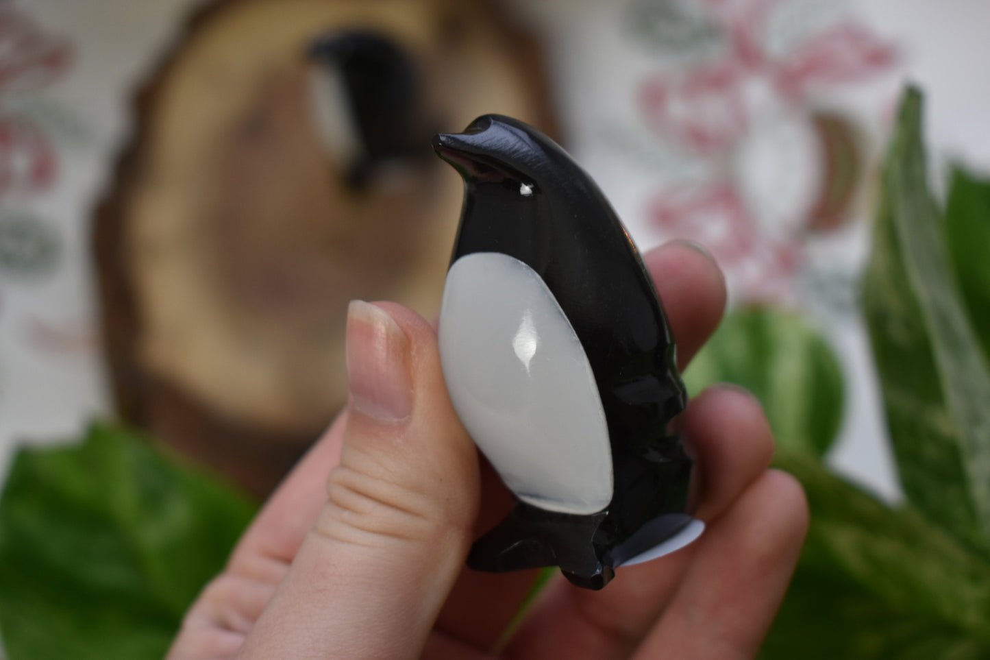 White & Black Aragonite Penguin