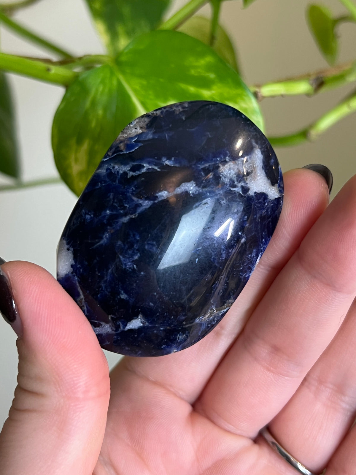 Sodalite Palm Stone - P