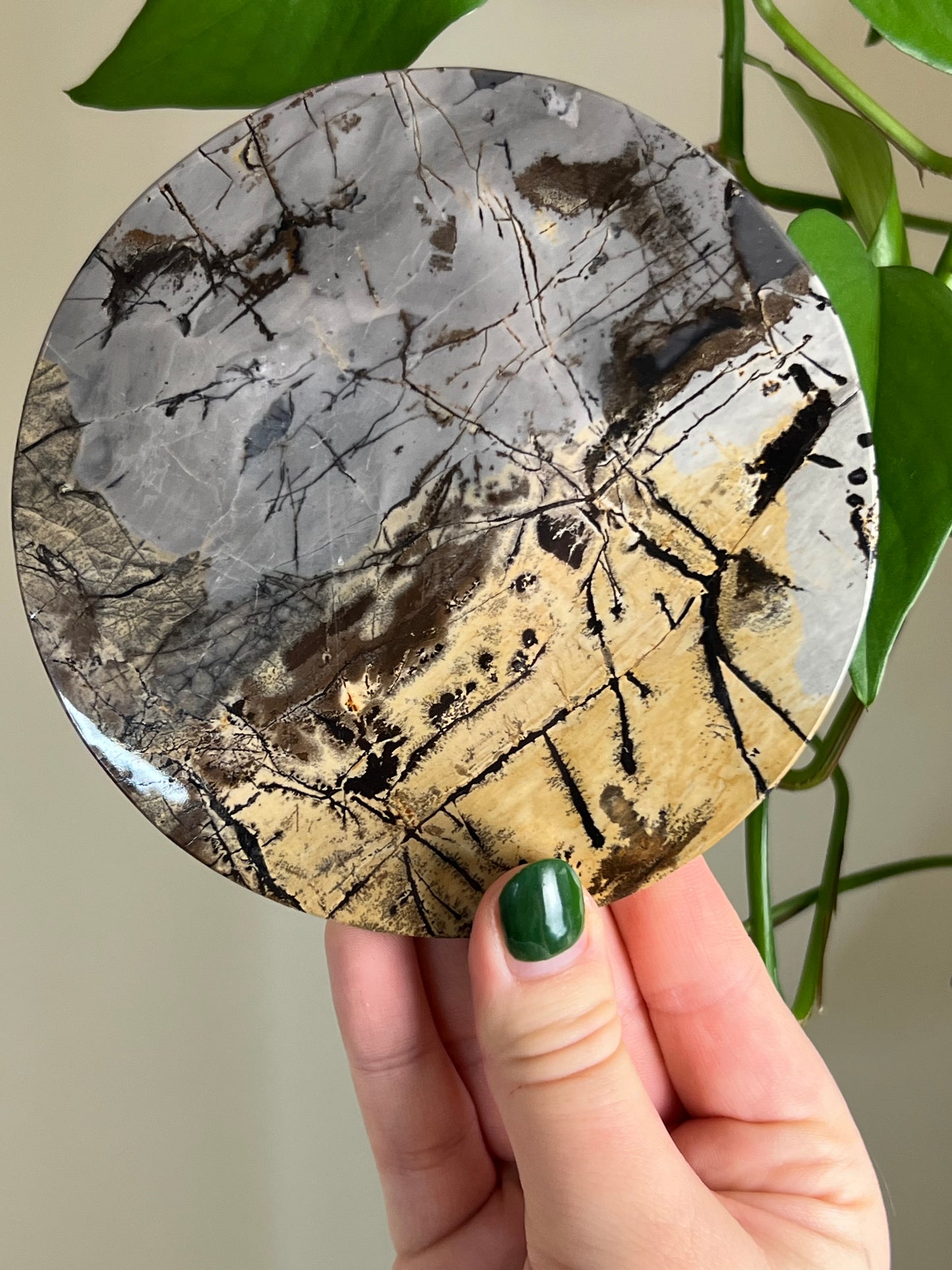 Picture Jasper Large Coaster K