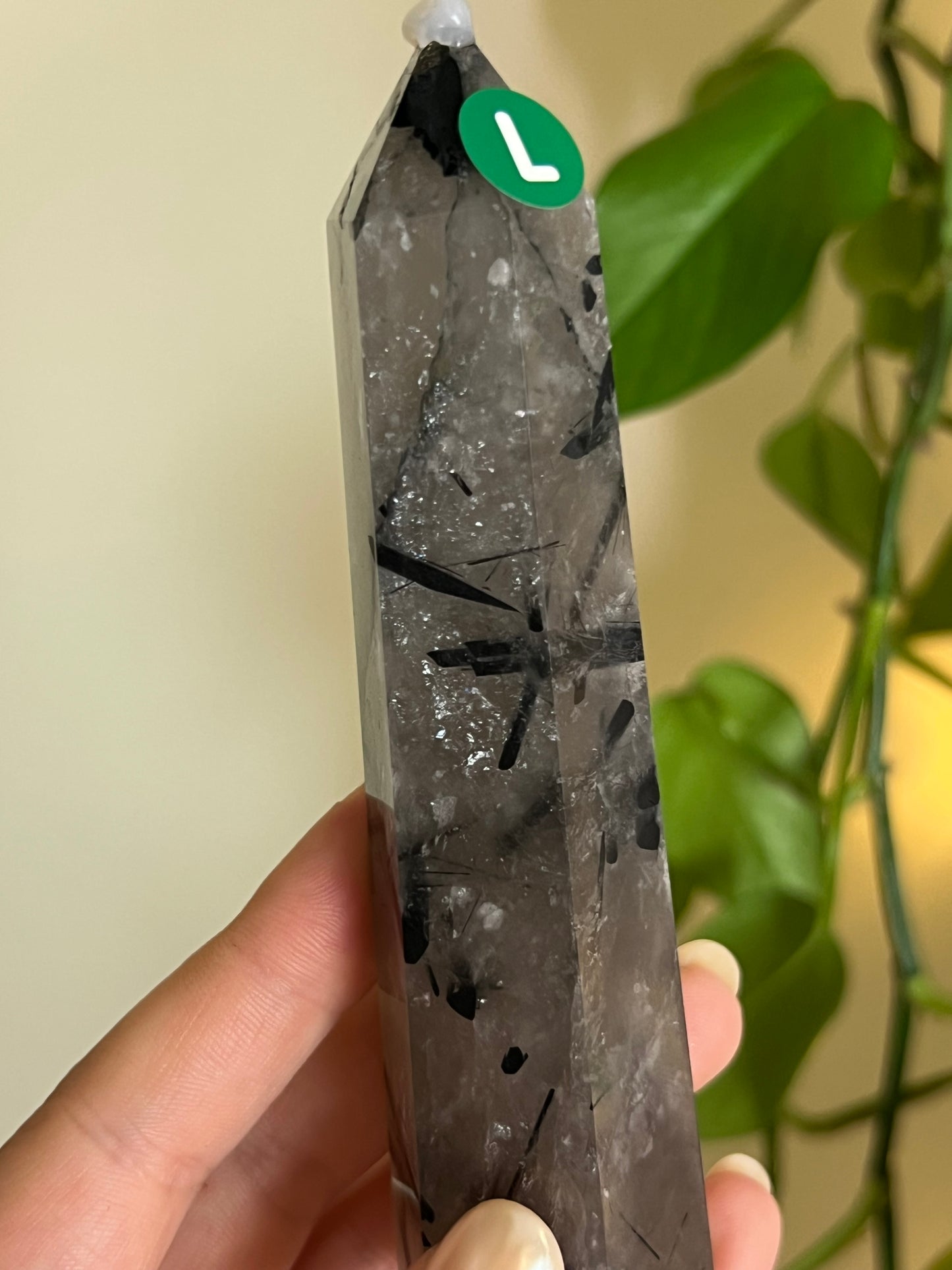 High Quality Black Tourmaline in Quartz Tower - L