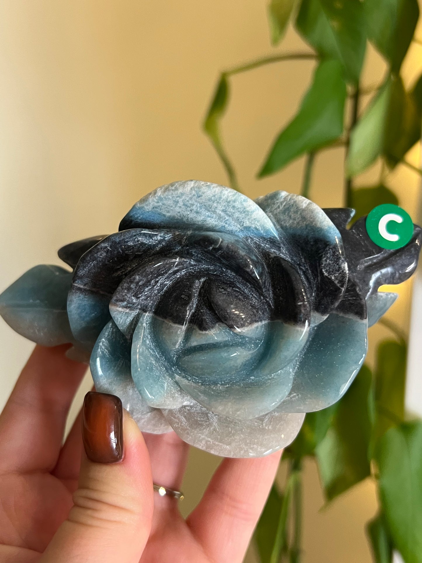 * Imperfect *Trolleite Large Flower - C