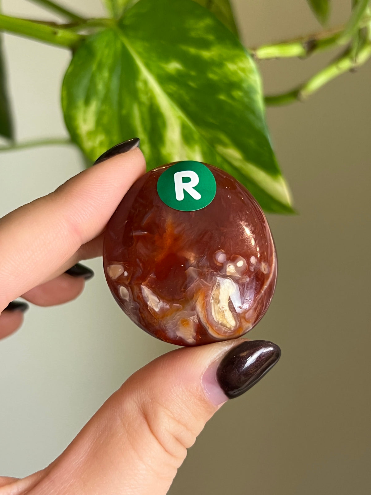 Carnelian Small Palm Stone - R
