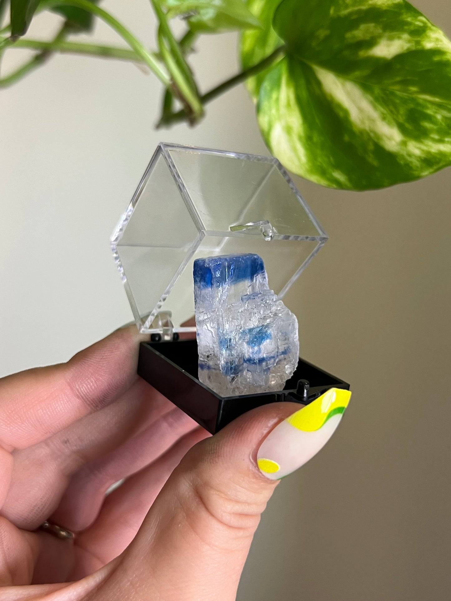 Blue Halite Specimen - K