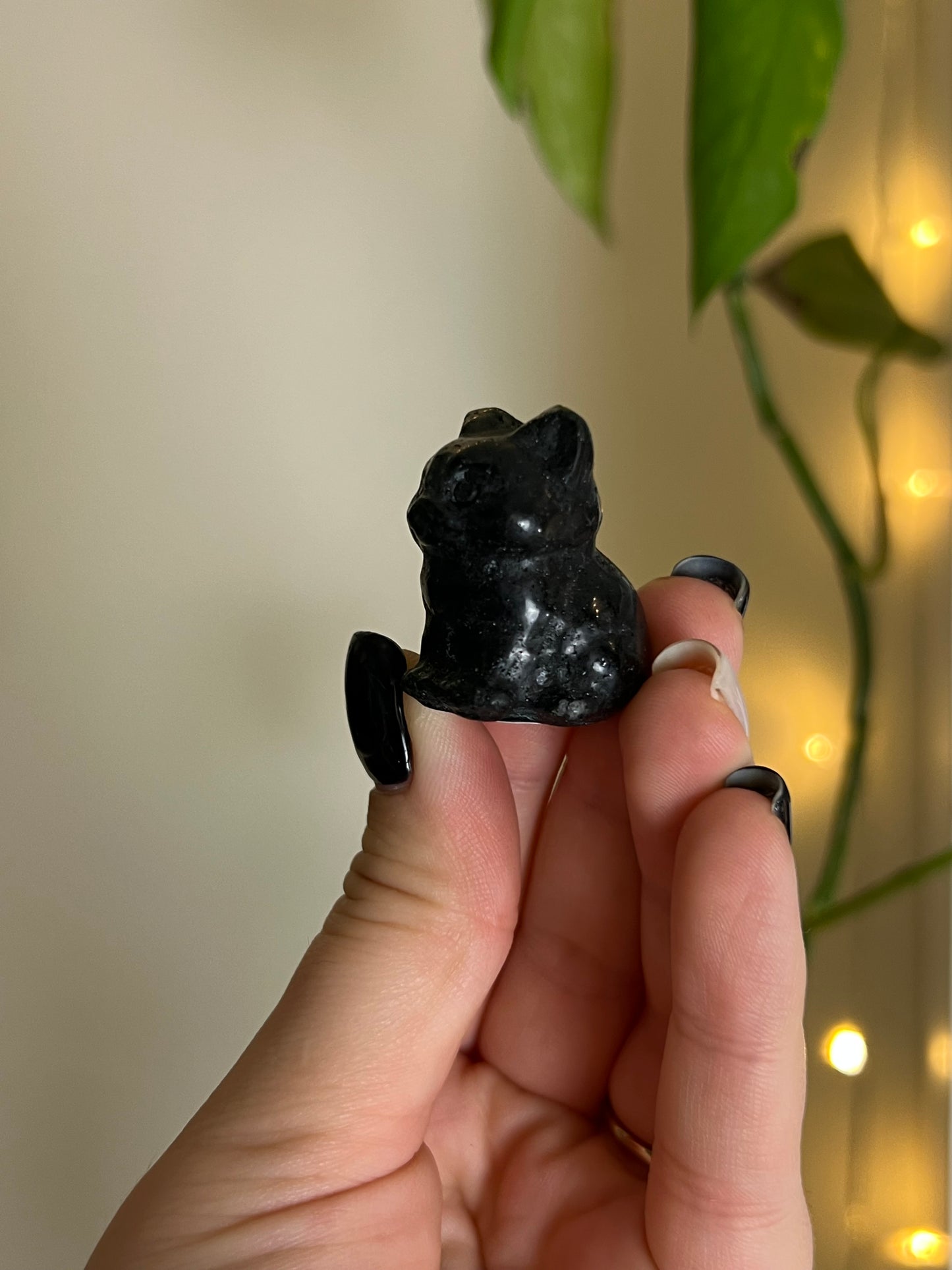 Black Tourmaline Cat
