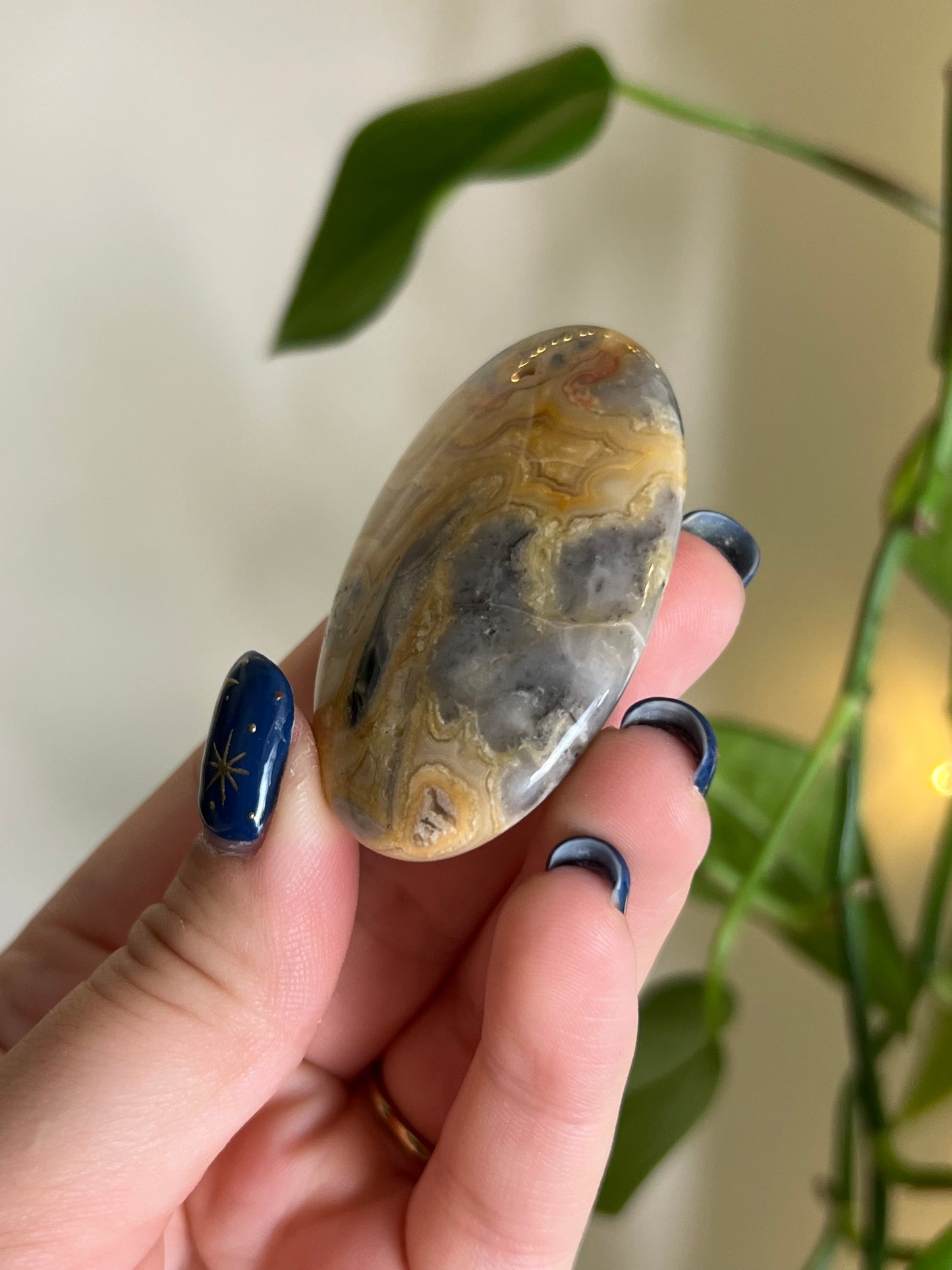 Crazy Lace Agate Palm Stone