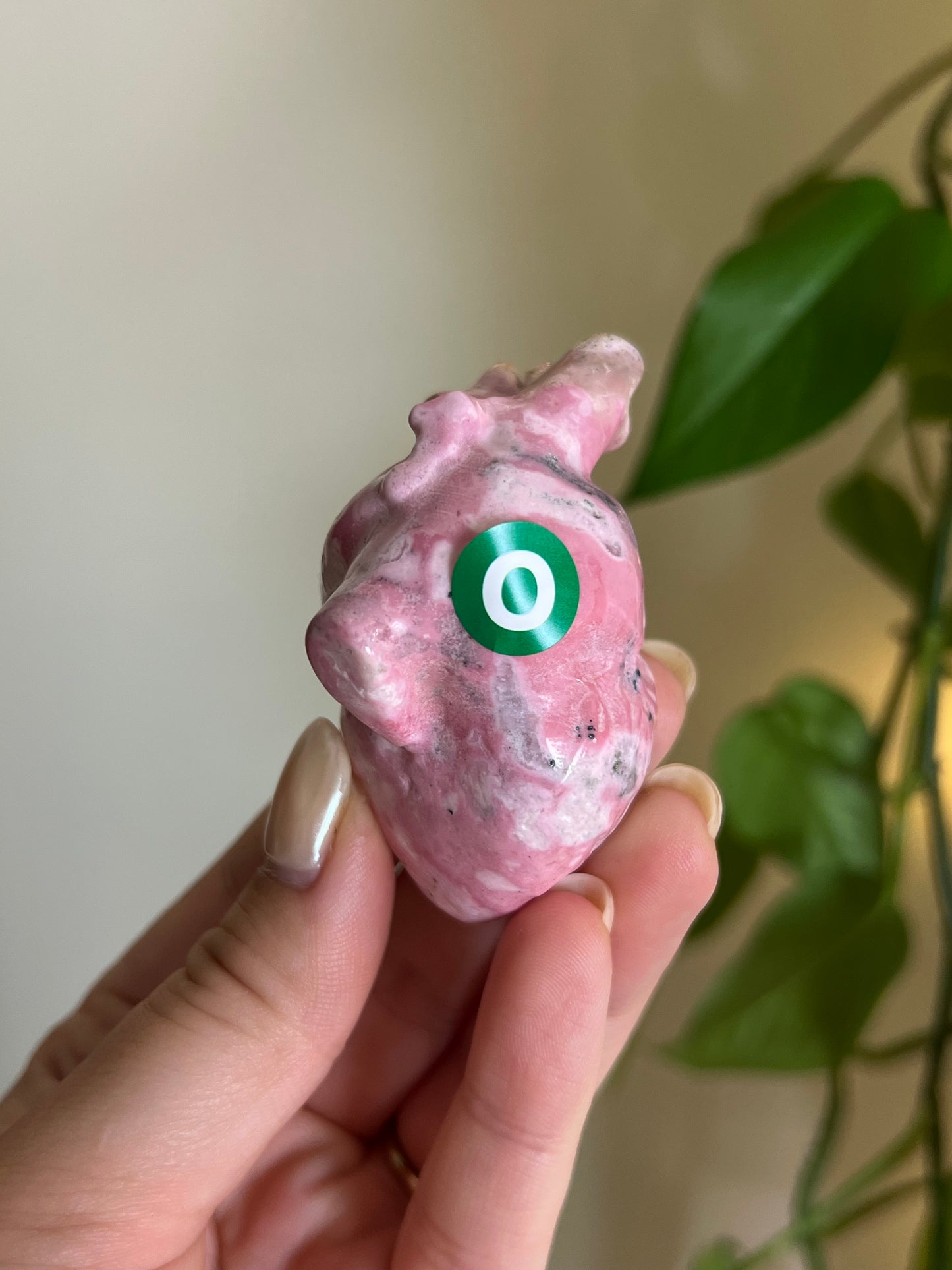 Peruvian Bubblegum Rhodonite Anatomical Heart - O