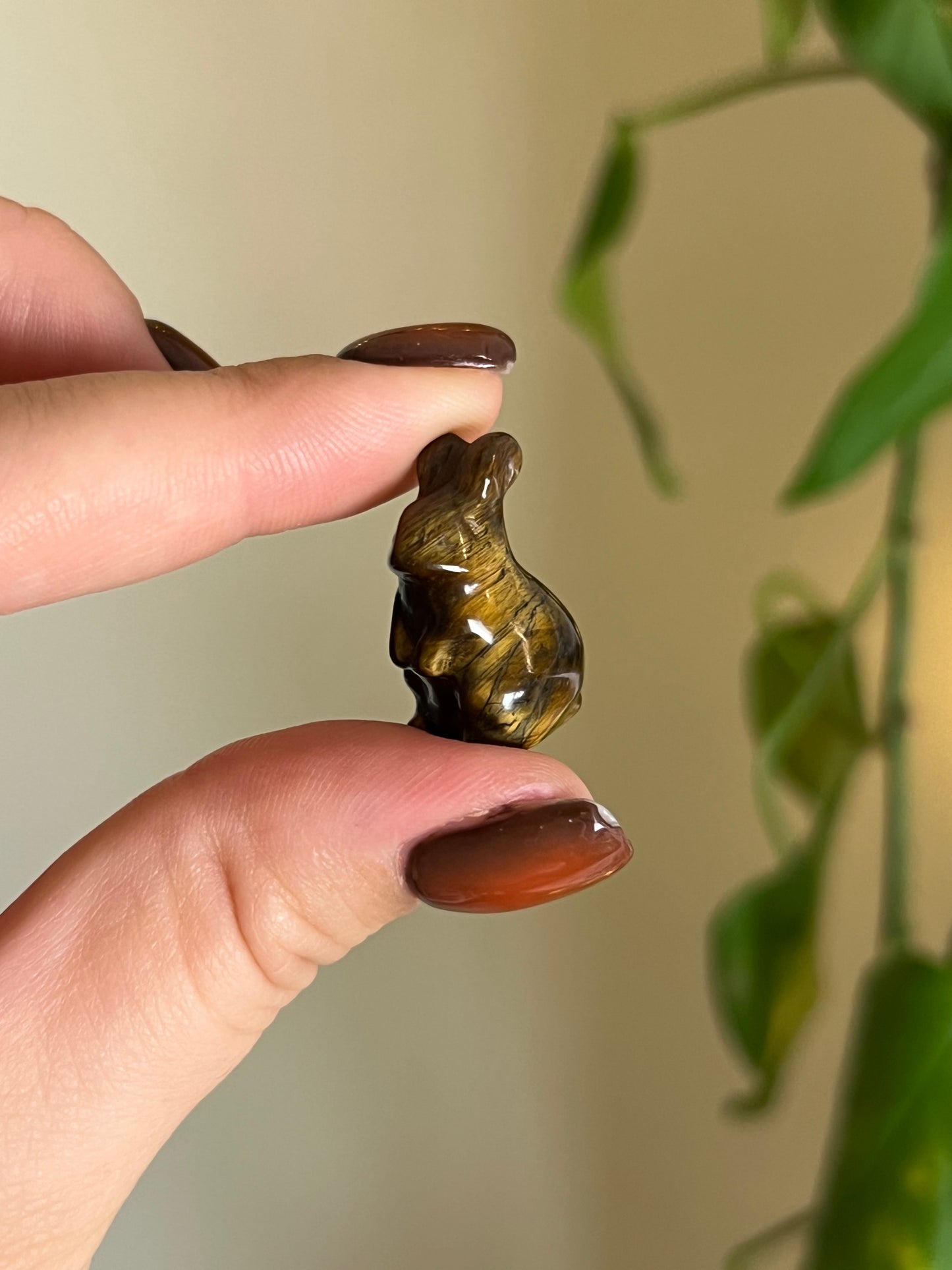 Mini Tigers Eye Rabbit