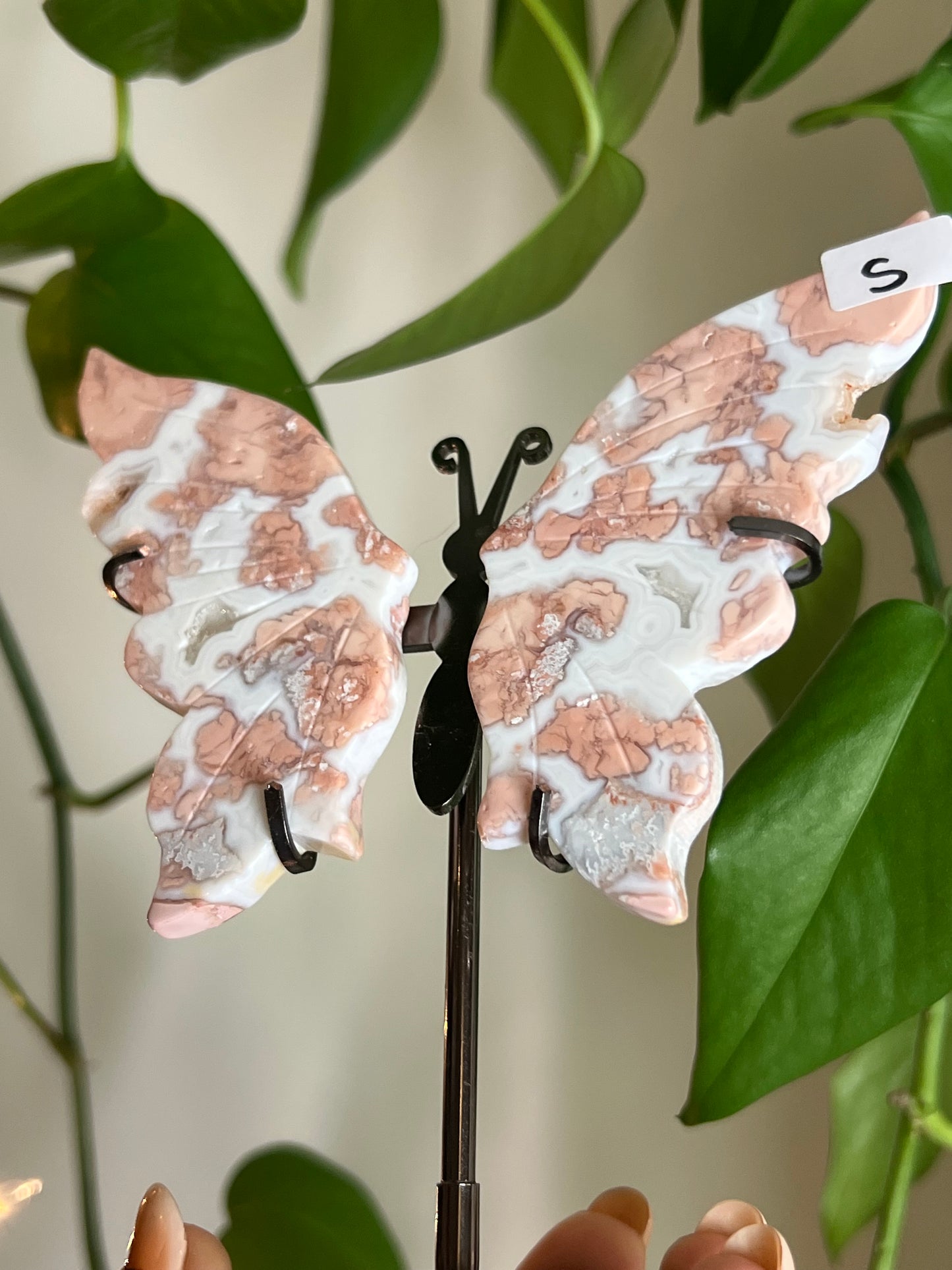 Cotton Candy Agate Butterfly Stand - S