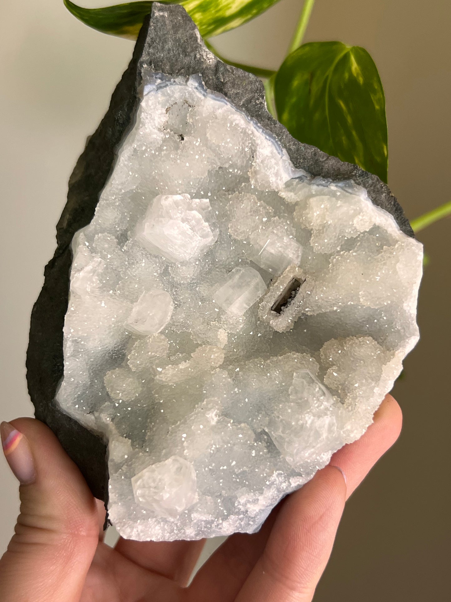 Apophyllite and Chalcedony Cluster - R