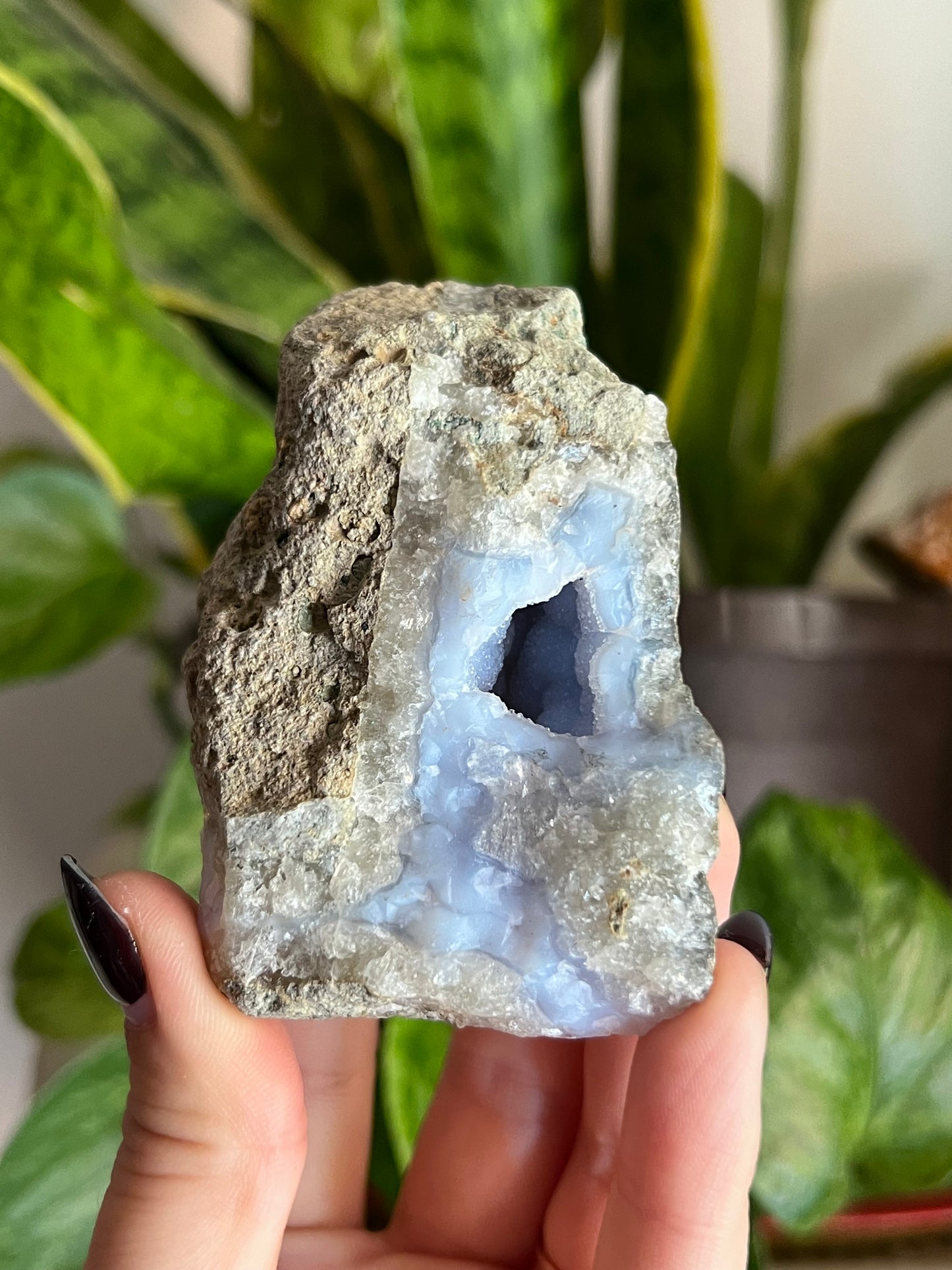 Druzy Blue Lace Agate Geode | Choose Your Own