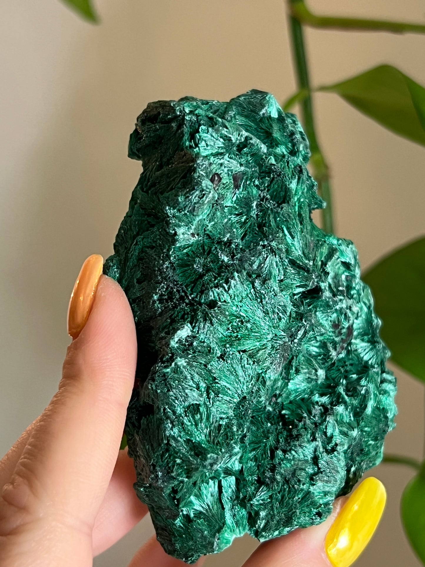 Velvet Malachite Raw C