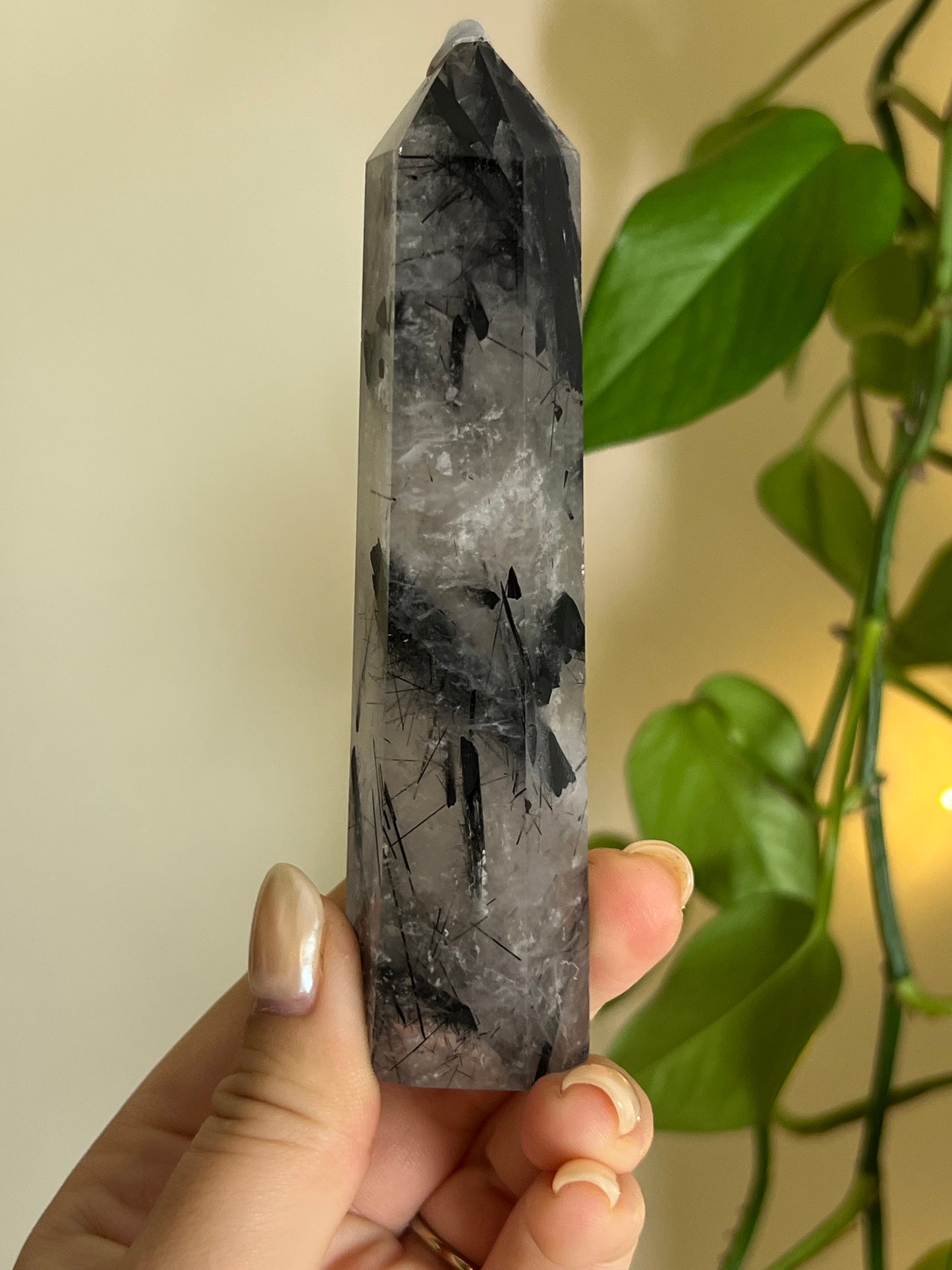 High Quality Black Tourmaline in Quartz Towers