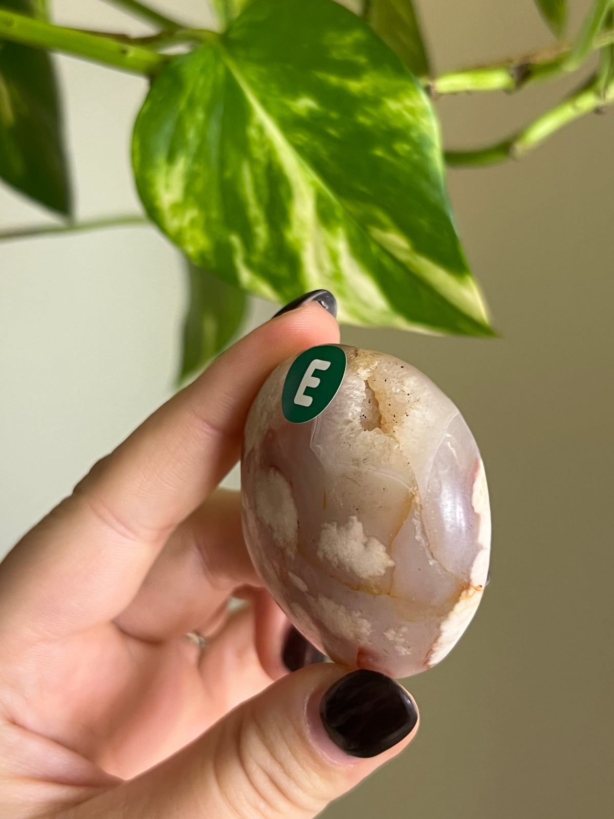 Druzy Flower Agate Palm Stone - E
