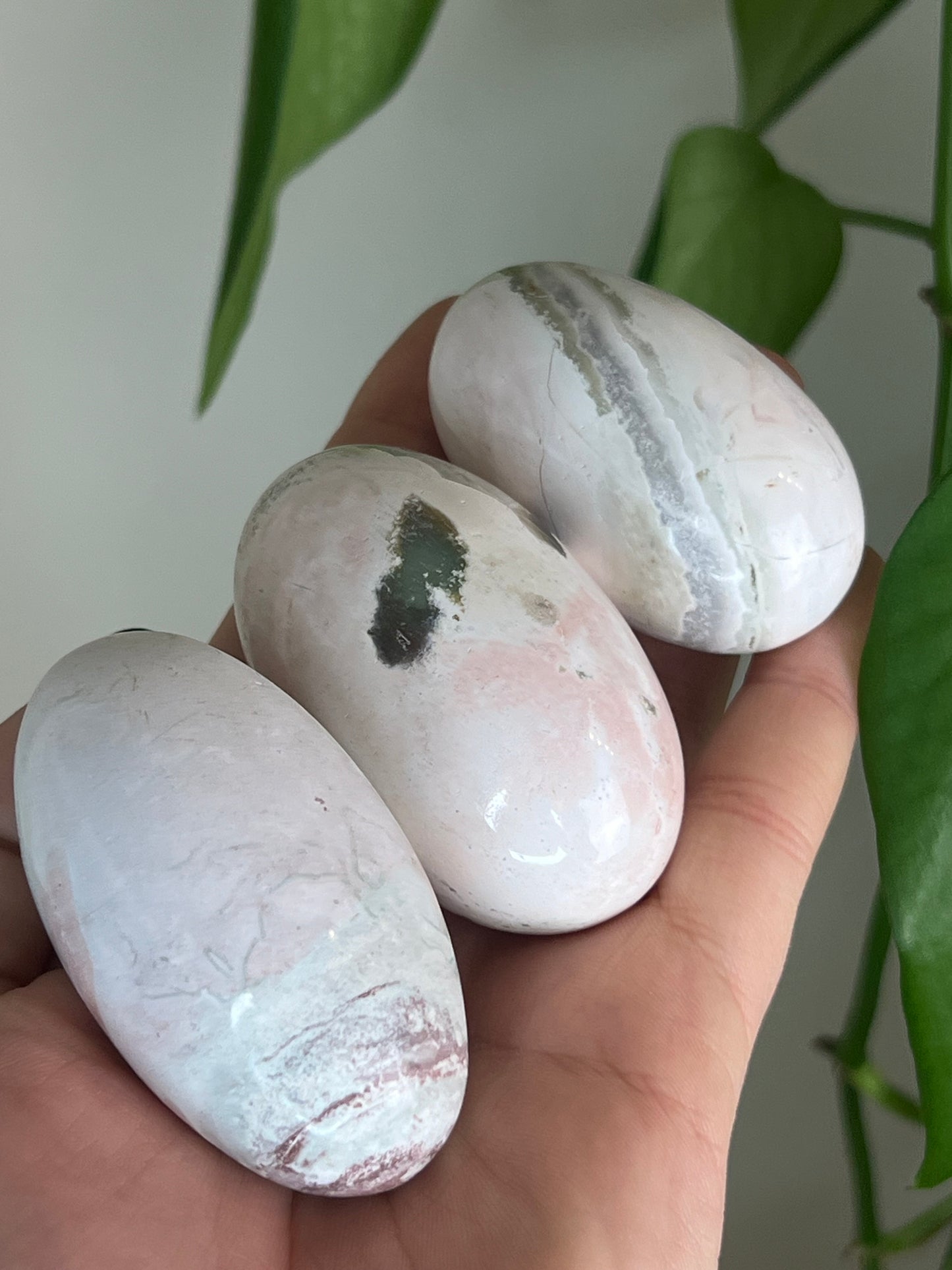 Pastel Unicorn Jasper Bean