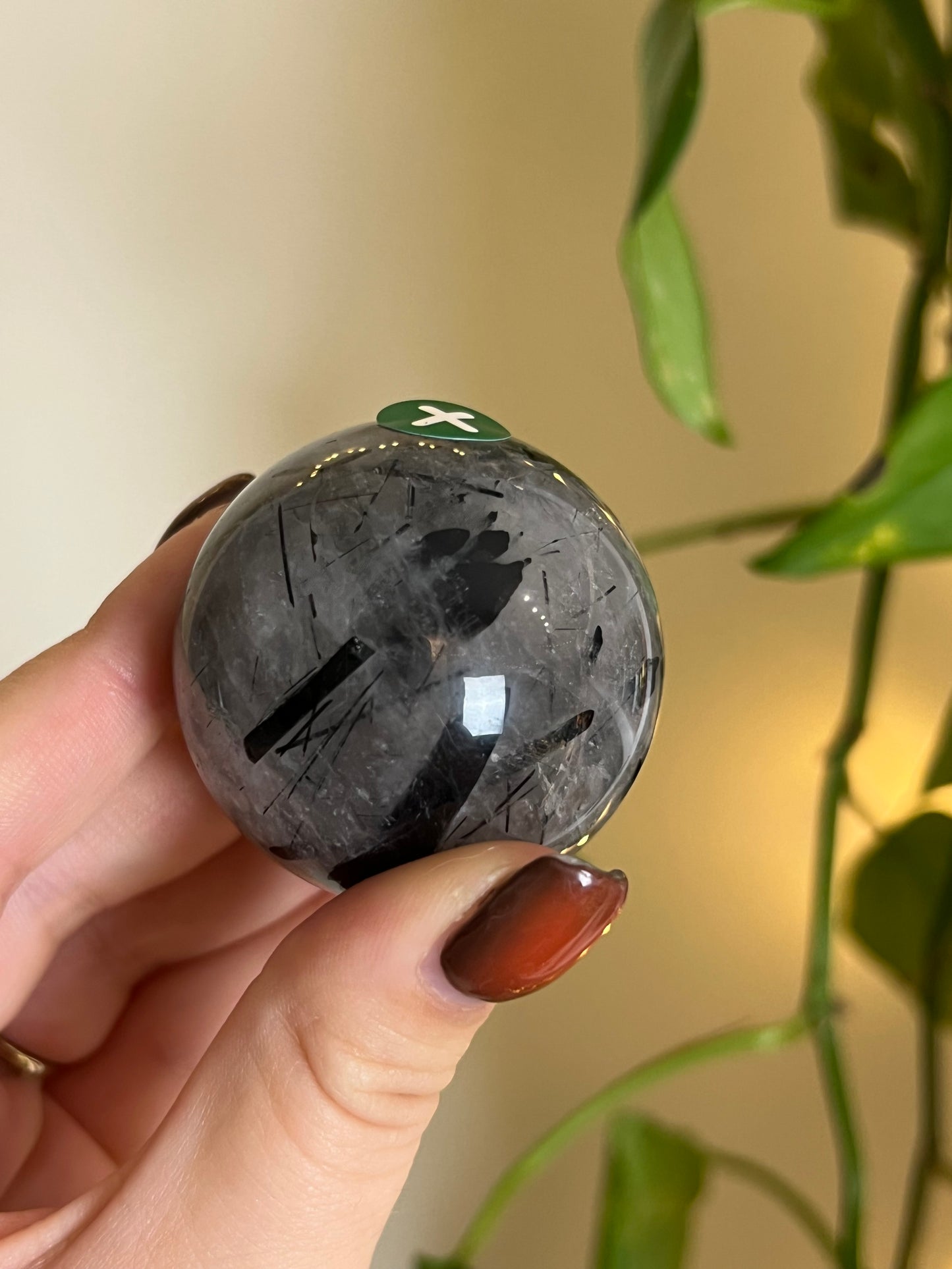 Black Tourmaline in Quartz Sphere - X