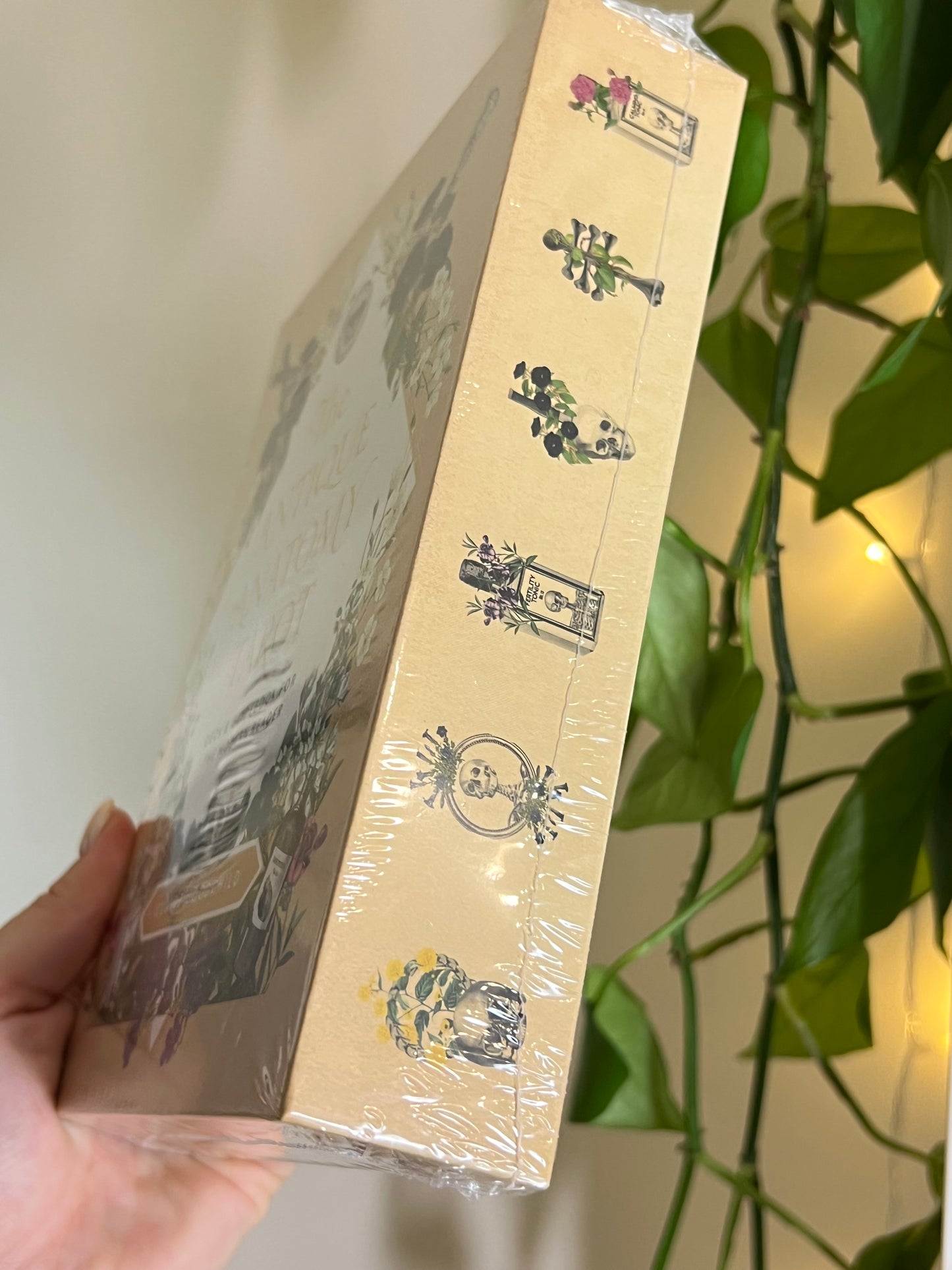 The Antique Anatomy Tarot Deck