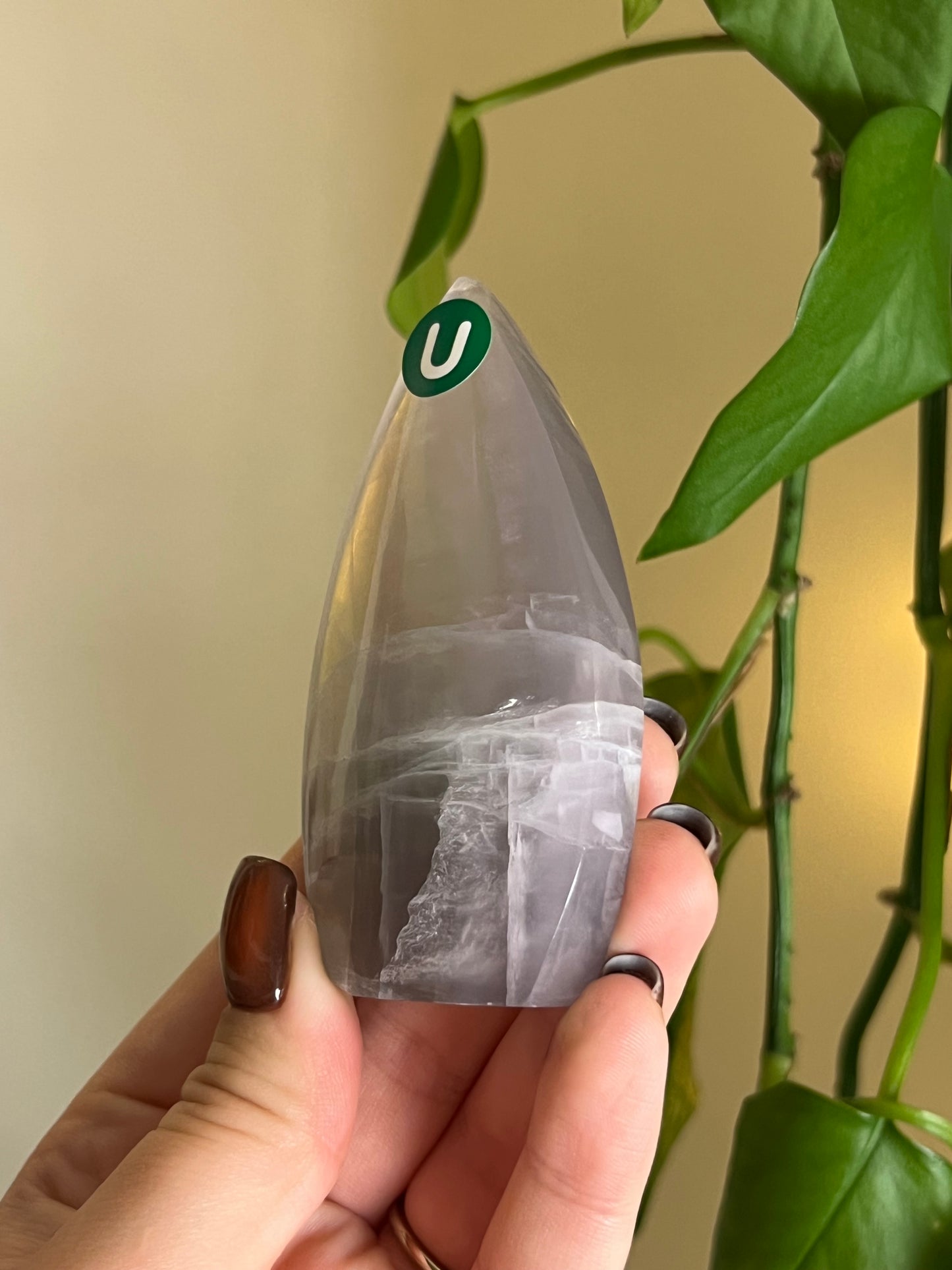 Pastel Fluorite Freeform - U