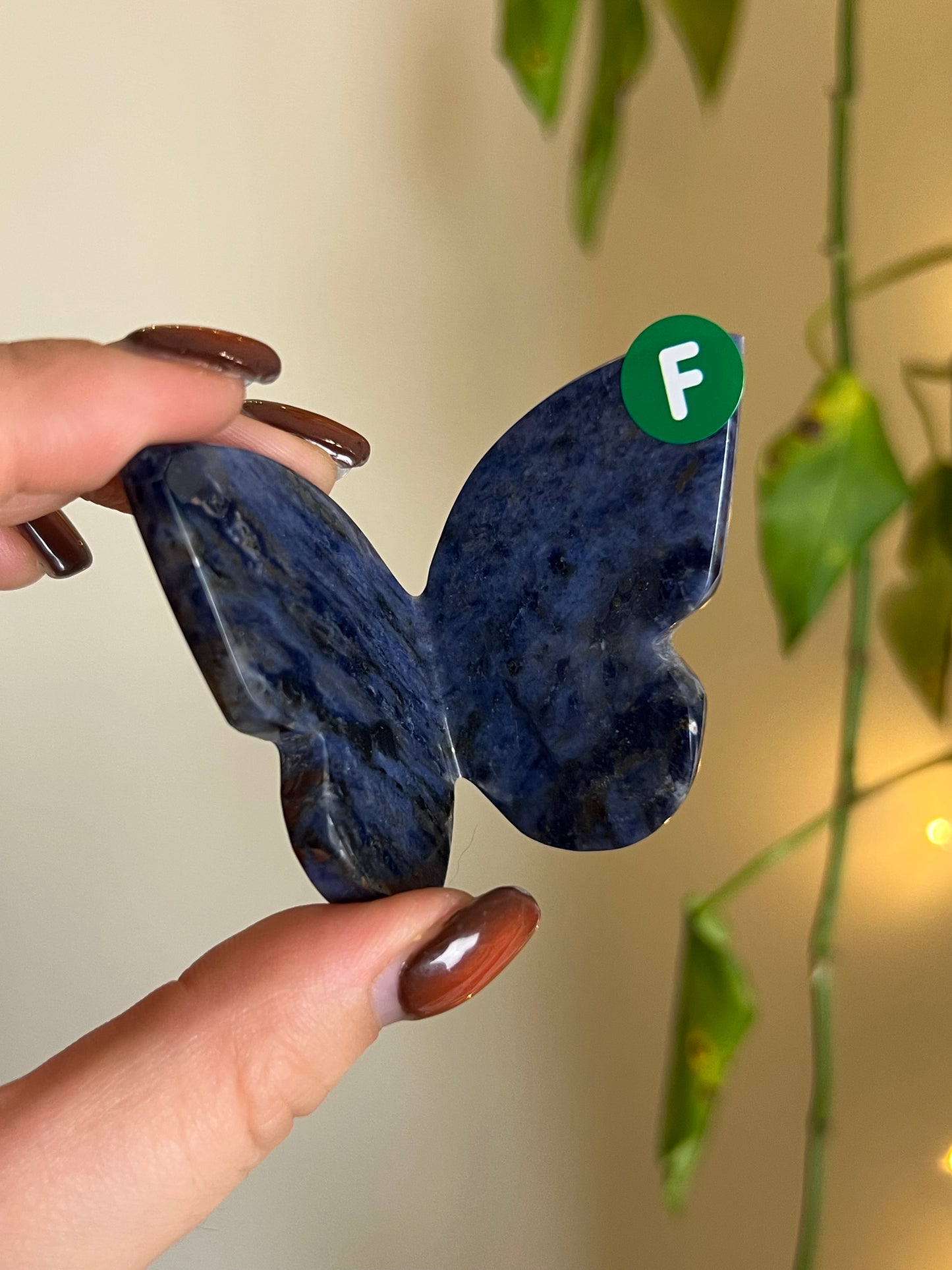 Sodalite 3D Butterfly - F