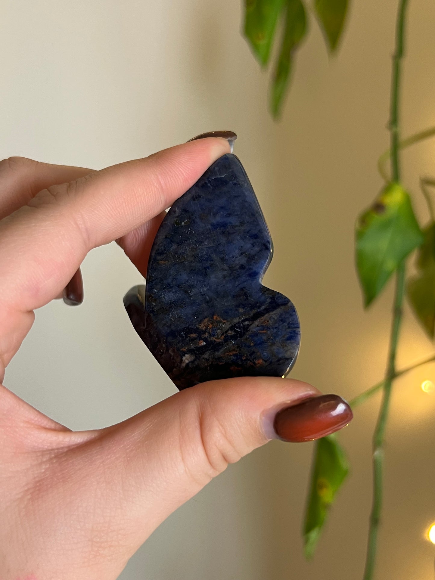 Sodalite 3D Butterfly - G